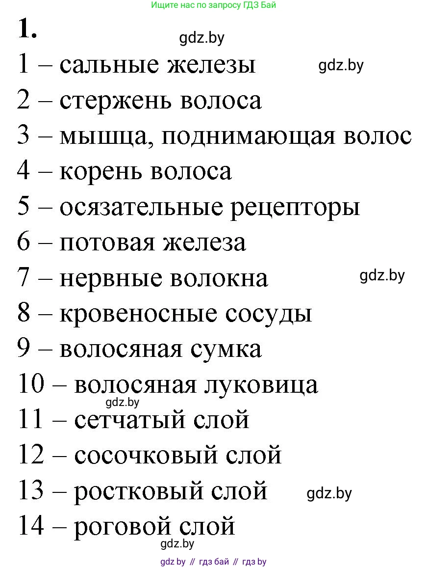 Биология, 9 класс рабочая тетрадь, авторы: Борисов Олег Леонидович, Антипенко Алеся Анатольевна, Мащенко Михаил Васильевич, издательство Аверсэв, Минск, 2019, салатового цвета, страница 96, номер 1, Решение