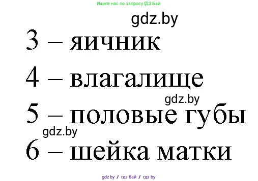 Биология, 9 класс рабочая тетрадь, авторы: Борисов Олег Леонидович, Антипенко Алеся Анатольевна, Мащенко Михаил Васильевич, издательство Аверсэв, Минск, 2019, салатового цвета, страница 103, номер 3, Решение (продолжение 2)