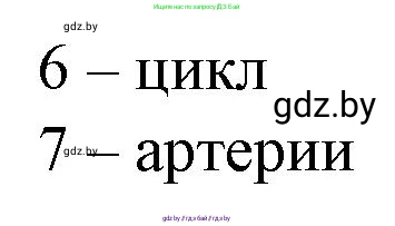 Биология, 9 класс рабочая тетрадь, авторы: Борисов Олег Леонидович, Антипенко Алеся Анатольевна, Мащенко Михаил Васильевич, издательство Аверсэв, Минск, 2019, салатового цвета, страница 61, Решение (продолжение 2)