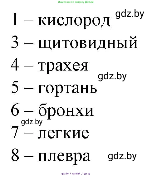 Биология, 9 класс рабочая тетрадь, авторы: Борисов Олег Леонидович, Антипенко Алеся Анатольевна, Мащенко Михаил Васильевич, издательство Аверсэв, Минск, 2019, салатового цвета, страница 74, Решение (продолжение 2)