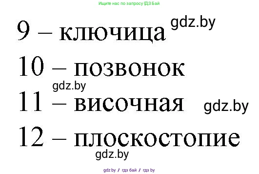 Биология, 9 класс рабочая тетрадь, авторы: Борисов Олег Леонидович, Антипенко Алеся Анатольевна, Мащенко Михаил Васильевич, издательство Аверсэв, Минск, 2019, салатового цвета, страница 45, Решение (продолжение 2)