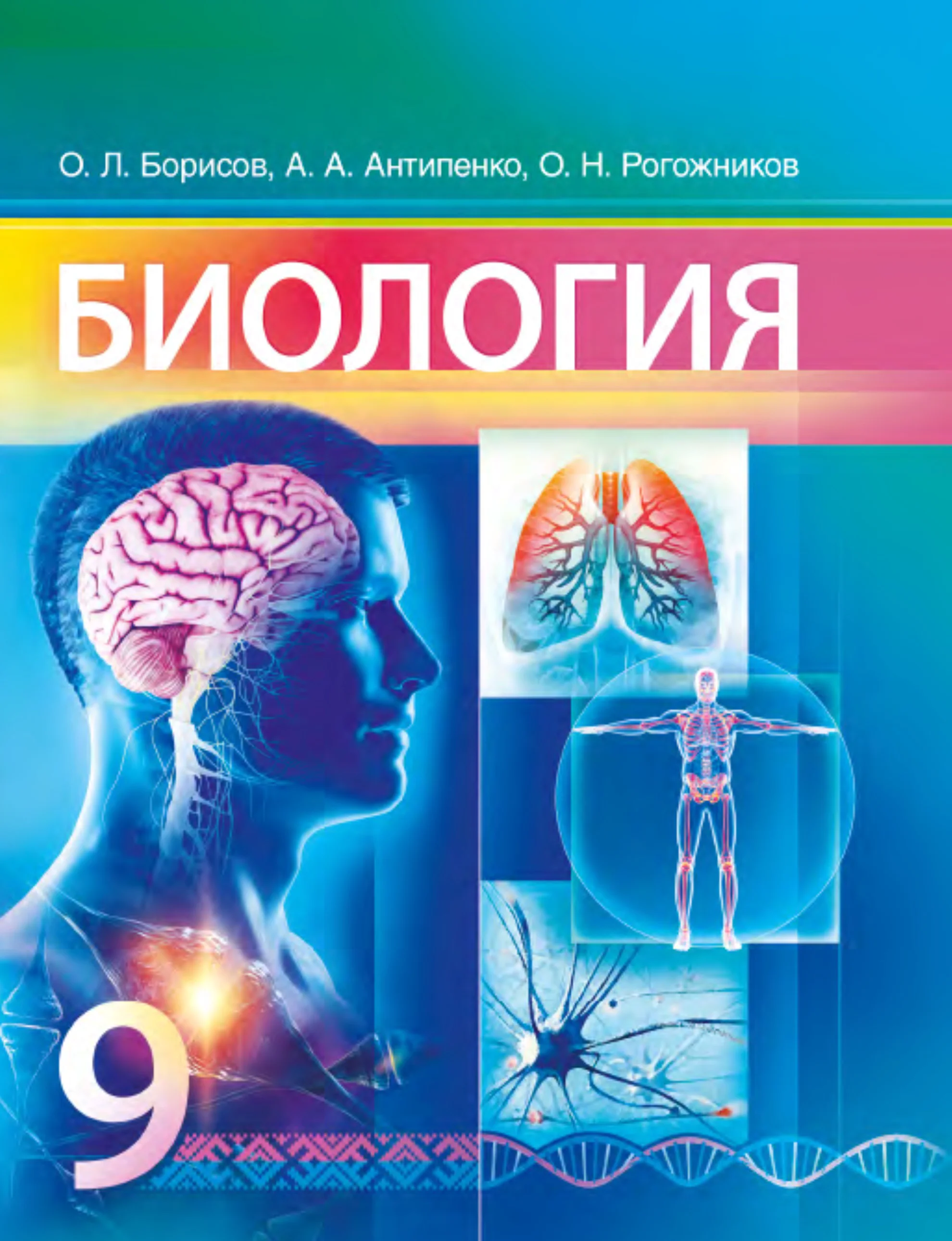Биология, 9 класс Учебник, авторы: Борисов Олег Леонидович, Антипенко Алеся Анатольевна, Рогожников Олег Николаевич, издательство Адукацыя i выхаванне, Минск, 2025, бирюзового цвета