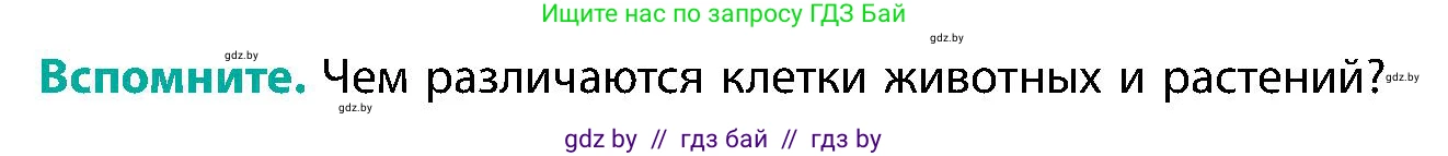 Биология, 9 класс Учебник, авторы: Борисов Олег Леонидович, Антипенко Алеся Анатольевна, Рогожников Олег Николаевич, издательство Адукацыя i выхаванне, Минск, 2025, бирюзового цвета, страница 8, Условие
