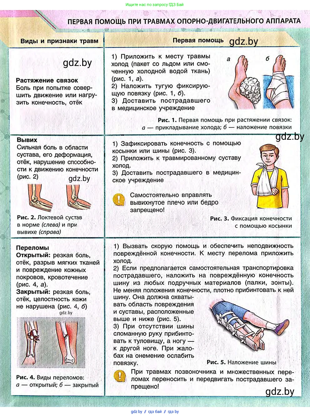 Биология, 9 класс Учебник, авторы: Борисов Олег Леонидович, Антипенко Алеся Анатольевна, Рогожников Олег Николаевич, издательство Адукацыя i выхаванне, Минск, 2025, бирюзового цвета, 