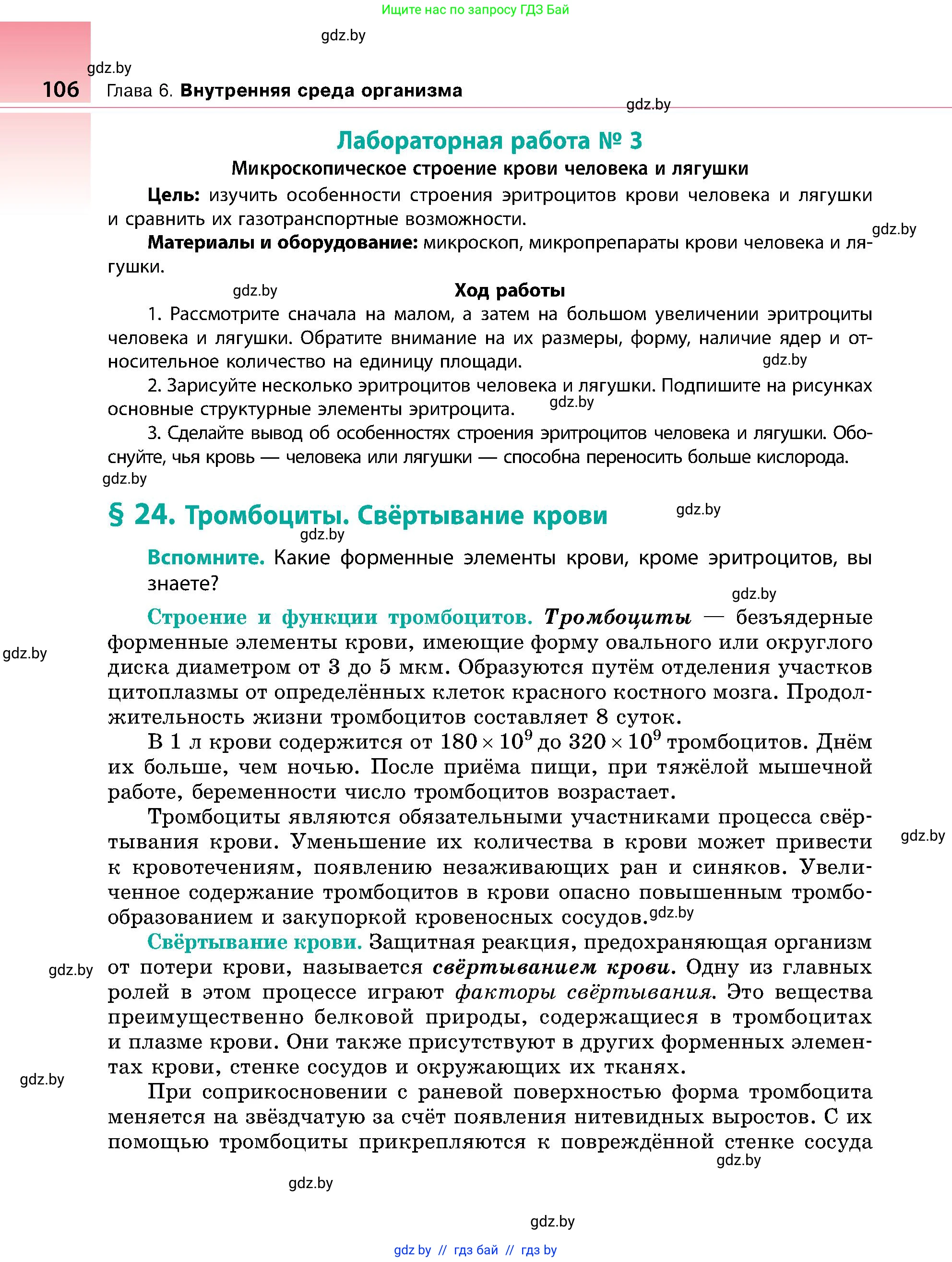 Биология, 9 класс Учебник, авторы: Борисов Олег Леонидович, Антипенко Алеся Анатольевна, Рогожников Олег Николаевич, издательство Адукацыя i выхаванне, Минск, 2025, бирюзового цвета, страница 106