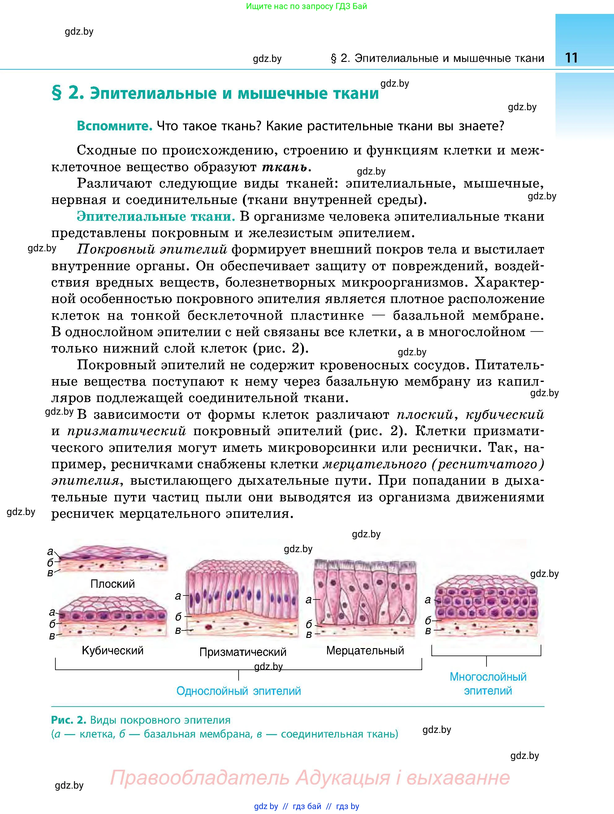 Биология, 9 класс Учебник, авторы: Борисов Олег Леонидович, Антипенко Алеся Анатольевна, Рогожников Олег Николаевич, издательство Адукацыя i выхаванне, Минск, 2025, бирюзового цвета, страница 11