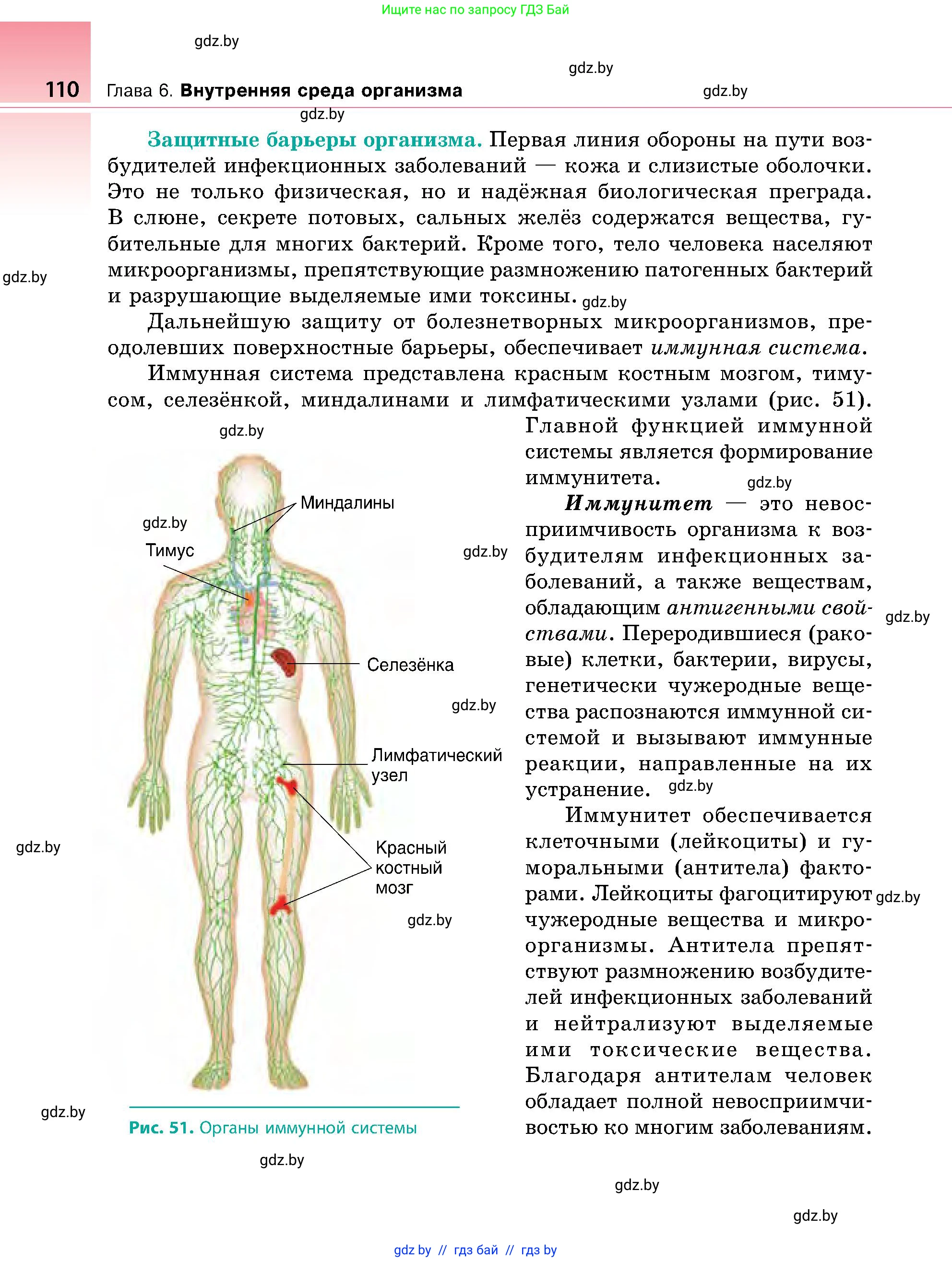 Биология, 9 класс Учебник, авторы: Борисов Олег Леонидович, Антипенко Алеся Анатольевна, Рогожников Олег Николаевич, издательство Адукацыя i выхаванне, Минск, 2025, бирюзового цвета, страница 110