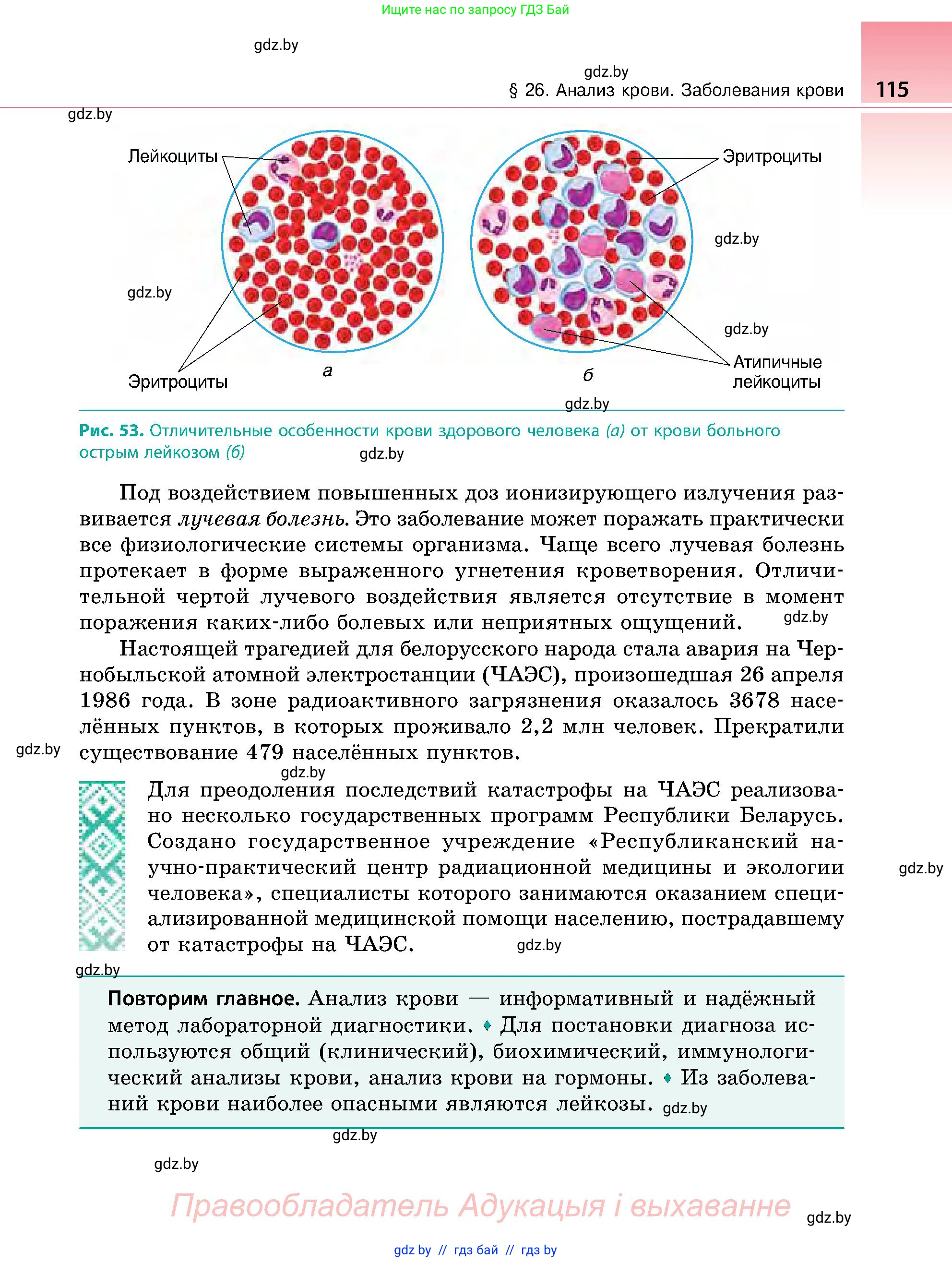 Биология, 9 класс Учебник, авторы: Борисов Олег Леонидович, Антипенко Алеся Анатольевна, Рогожников Олег Николаевич, издательство Адукацыя i выхаванне, Минск, 2025, бирюзового цвета, страница 115
