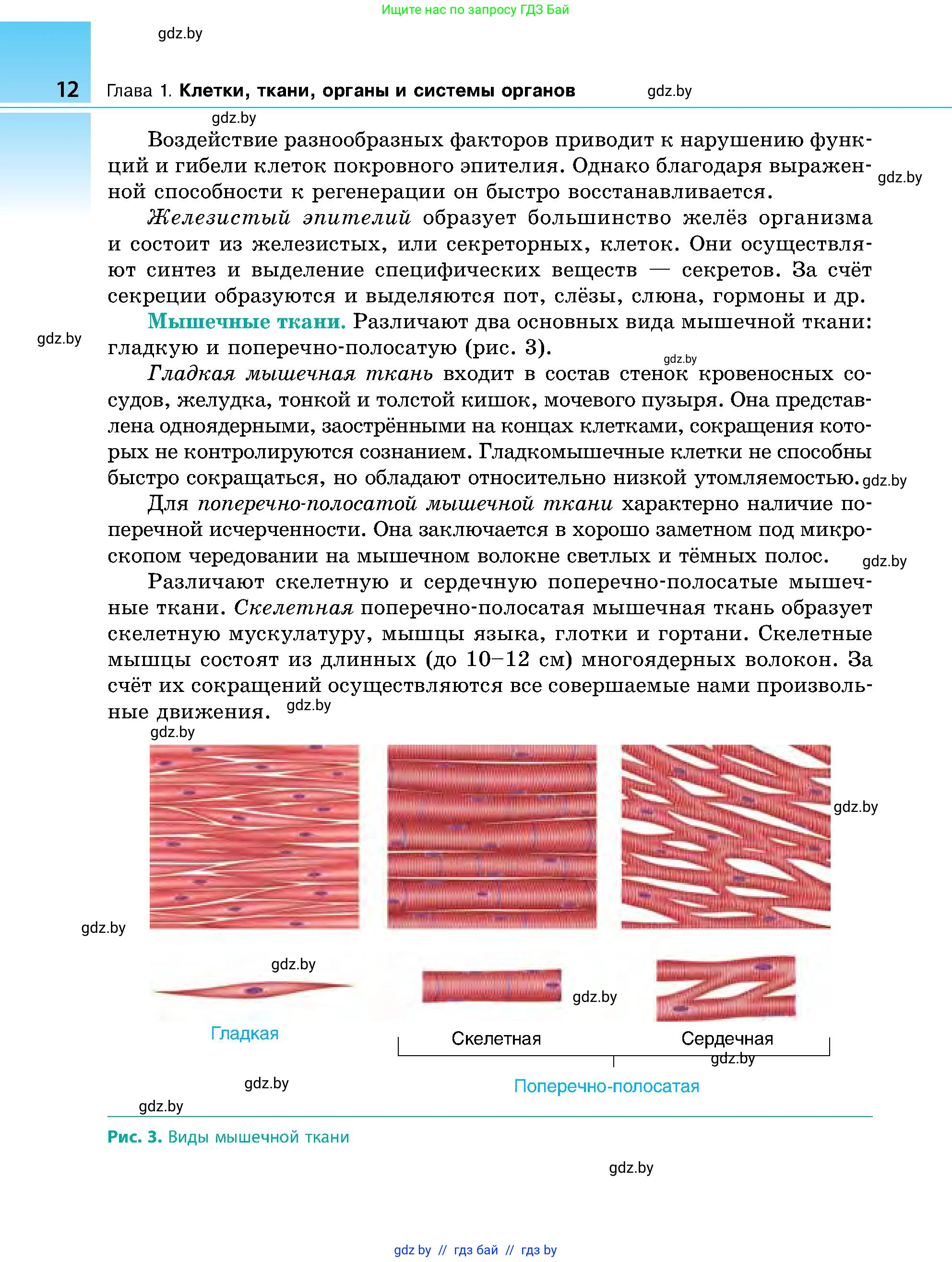 Биология, 9 класс Учебник, авторы: Борисов Олег Леонидович, Антипенко Алеся Анатольевна, Рогожников Олег Николаевич, издательство Адукацыя i выхаванне, Минск, 2025, бирюзового цвета, страница 12