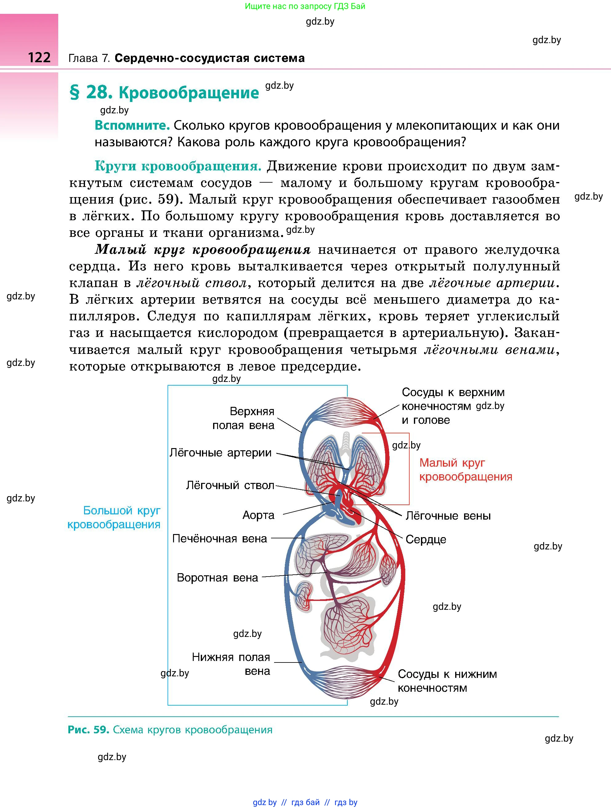 Биология, 9 класс Учебник, авторы: Борисов Олег Леонидович, Антипенко Алеся Анатольевна, Рогожников Олег Николаевич, издательство Адукацыя i выхаванне, Минск, 2025, бирюзового цвета, страница 122