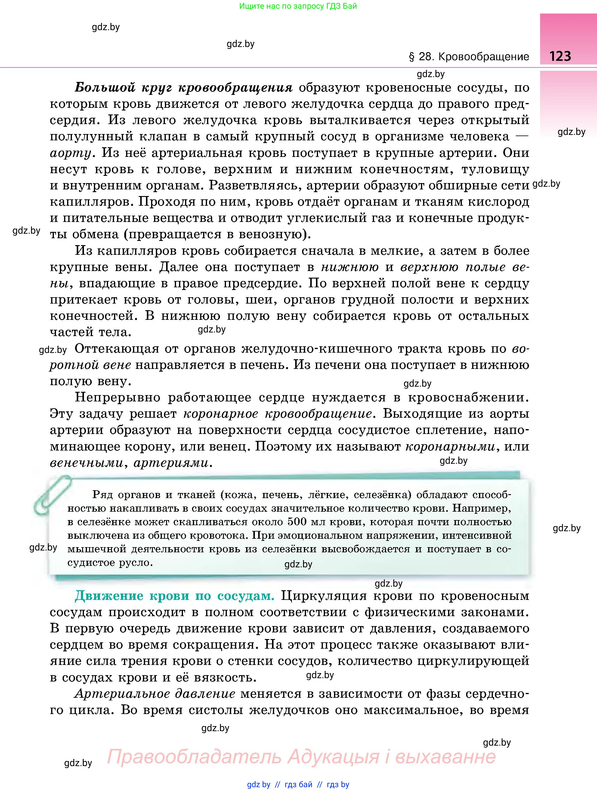 Биология, 9 класс Учебник, авторы: Борисов Олег Леонидович, Антипенко Алеся Анатольевна, Рогожников Олег Николаевич, издательство Адукацыя i выхаванне, Минск, 2025, бирюзового цвета, страница 123