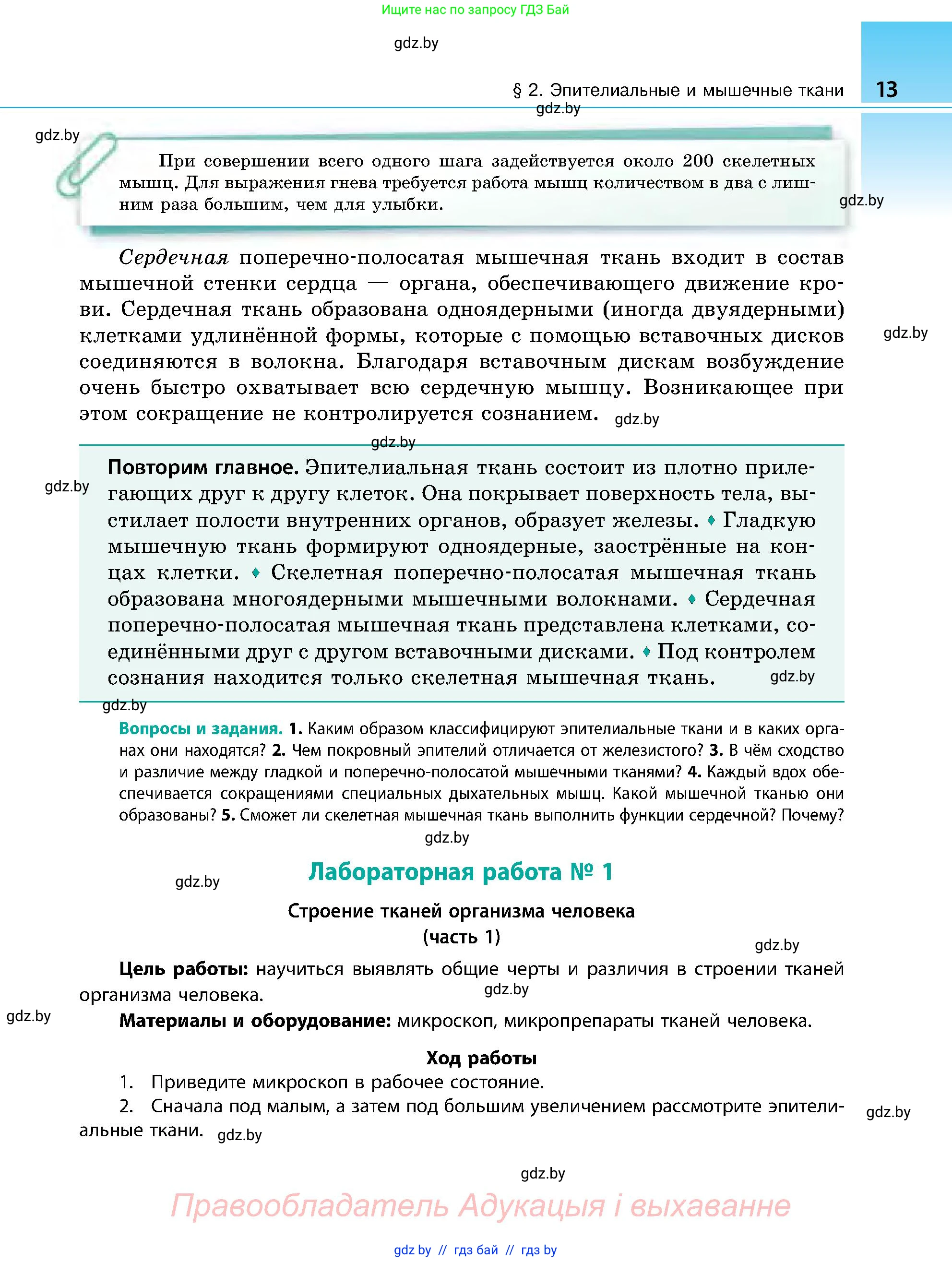 Биология, 9 класс Учебник, авторы: Борисов Олег Леонидович, Антипенко Алеся Анатольевна, Рогожников Олег Николаевич, издательство Адукацыя i выхаванне, Минск, 2025, бирюзового цвета, страница 13