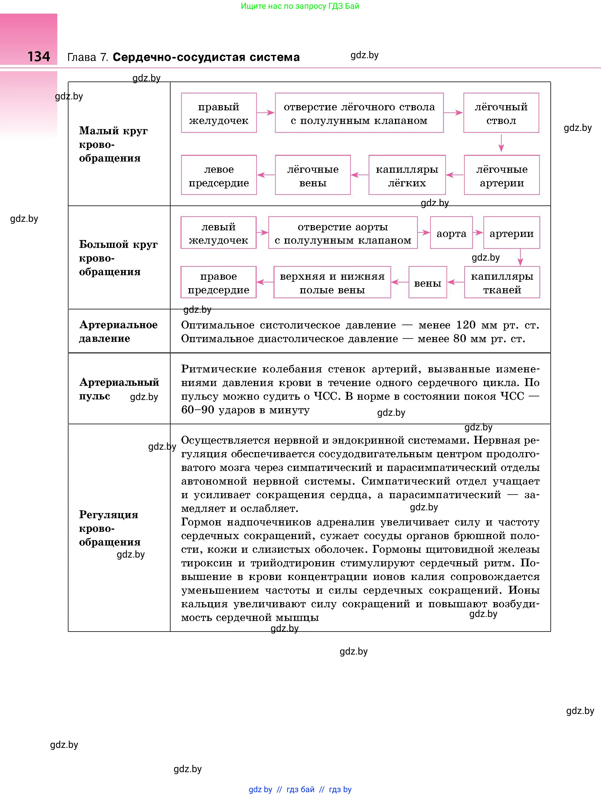 Биология, 9 класс Учебник, авторы: Борисов Олег Леонидович, Антипенко Алеся Анатольевна, Рогожников Олег Николаевич, издательство Адукацыя i выхаванне, Минск, 2025, бирюзового цвета, страница 134