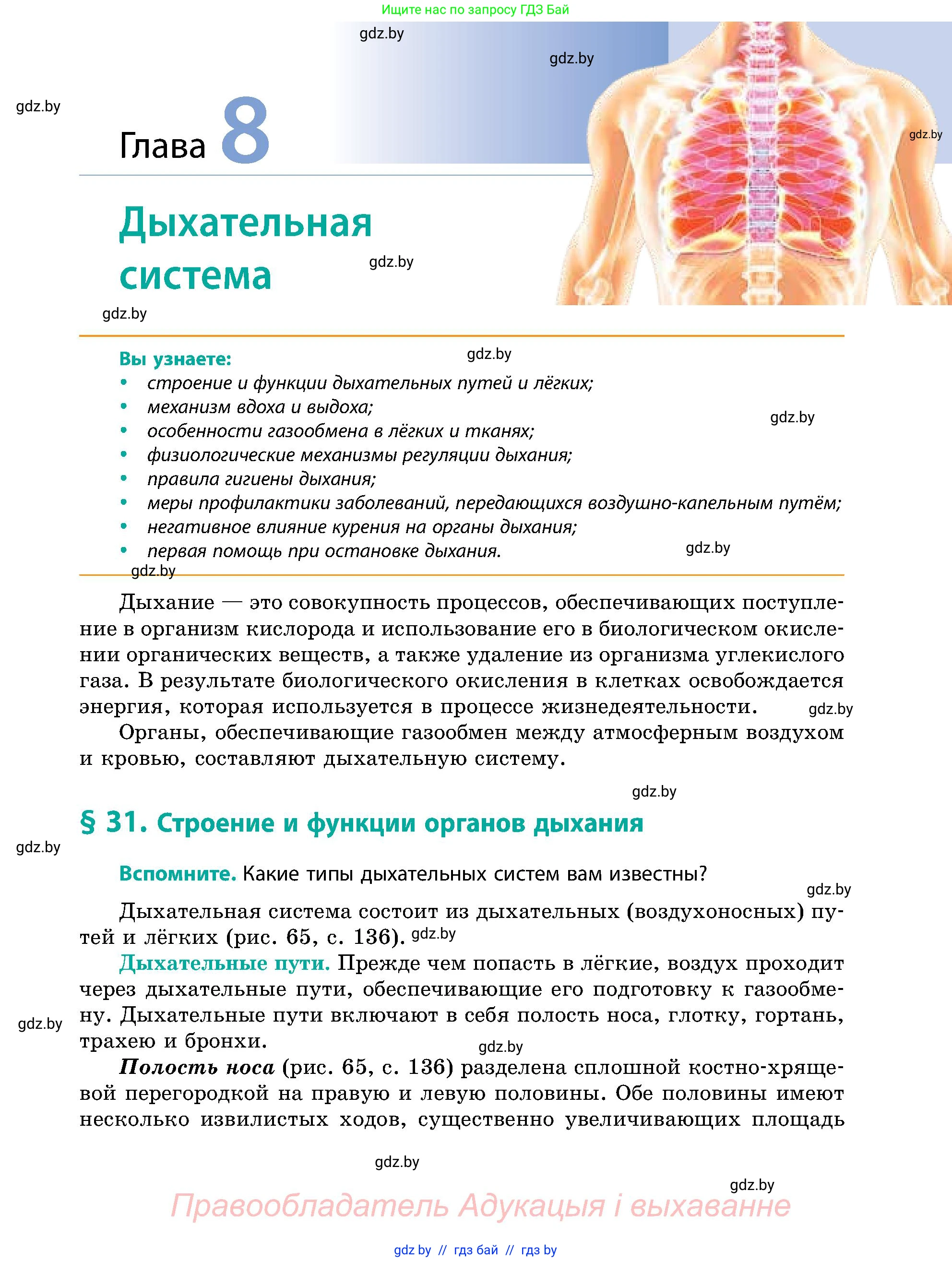 Биология, 9 класс Учебник, авторы: Борисов Олег Леонидович, Антипенко Алеся Анатольевна, Рогожников Олег Николаевич, издательство Адукацыя i выхаванне, Минск, 2025, бирюзового цвета, страница 135