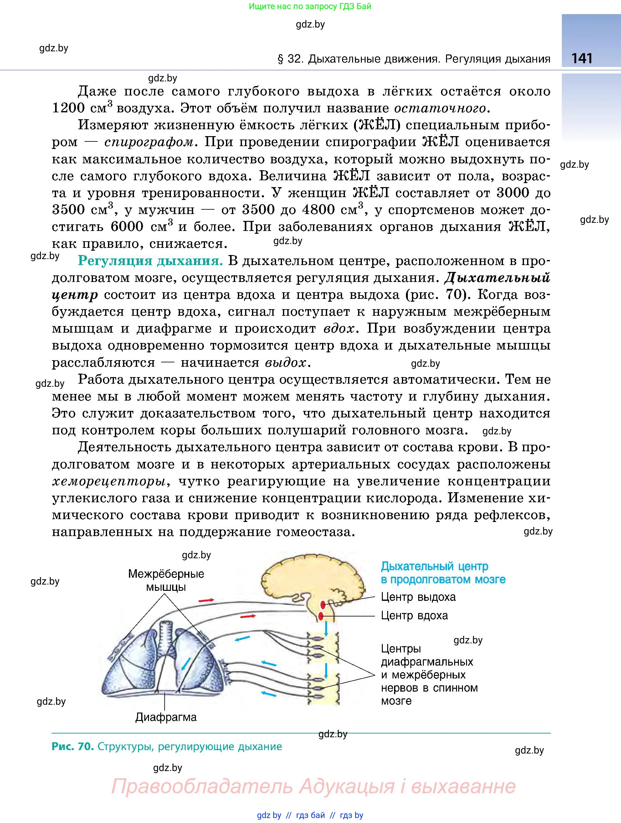 Биология, 9 класс Учебник, авторы: Борисов Олег Леонидович, Антипенко Алеся Анатольевна, Рогожников Олег Николаевич, издательство Адукацыя i выхаванне, Минск, 2025, бирюзового цвета, страница 141