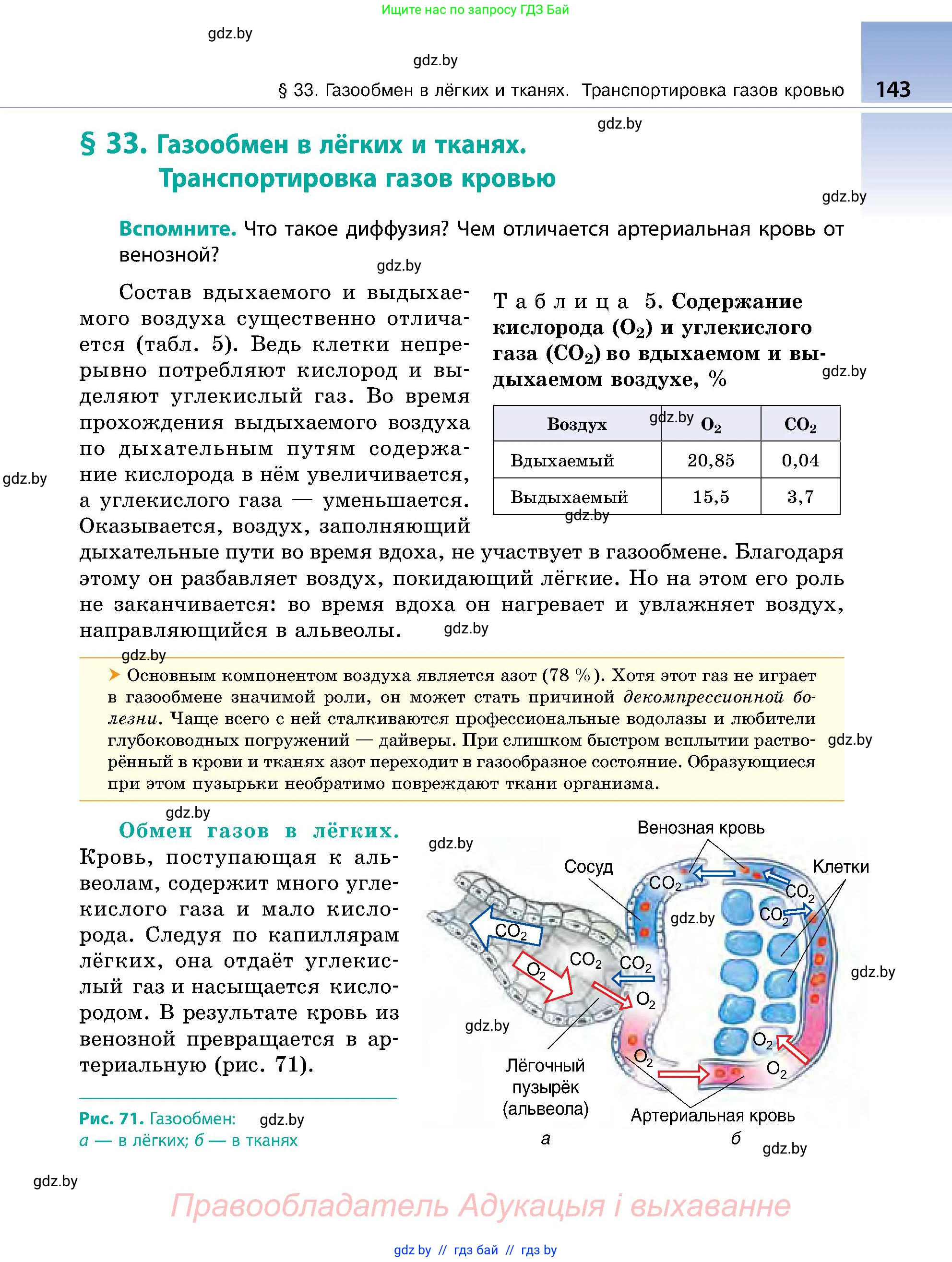 Биология, 9 класс Учебник, авторы: Борисов Олег Леонидович, Антипенко Алеся Анатольевна, Рогожников Олег Николаевич, издательство Адукацыя i выхаванне, Минск, 2025, бирюзового цвета, страница 143