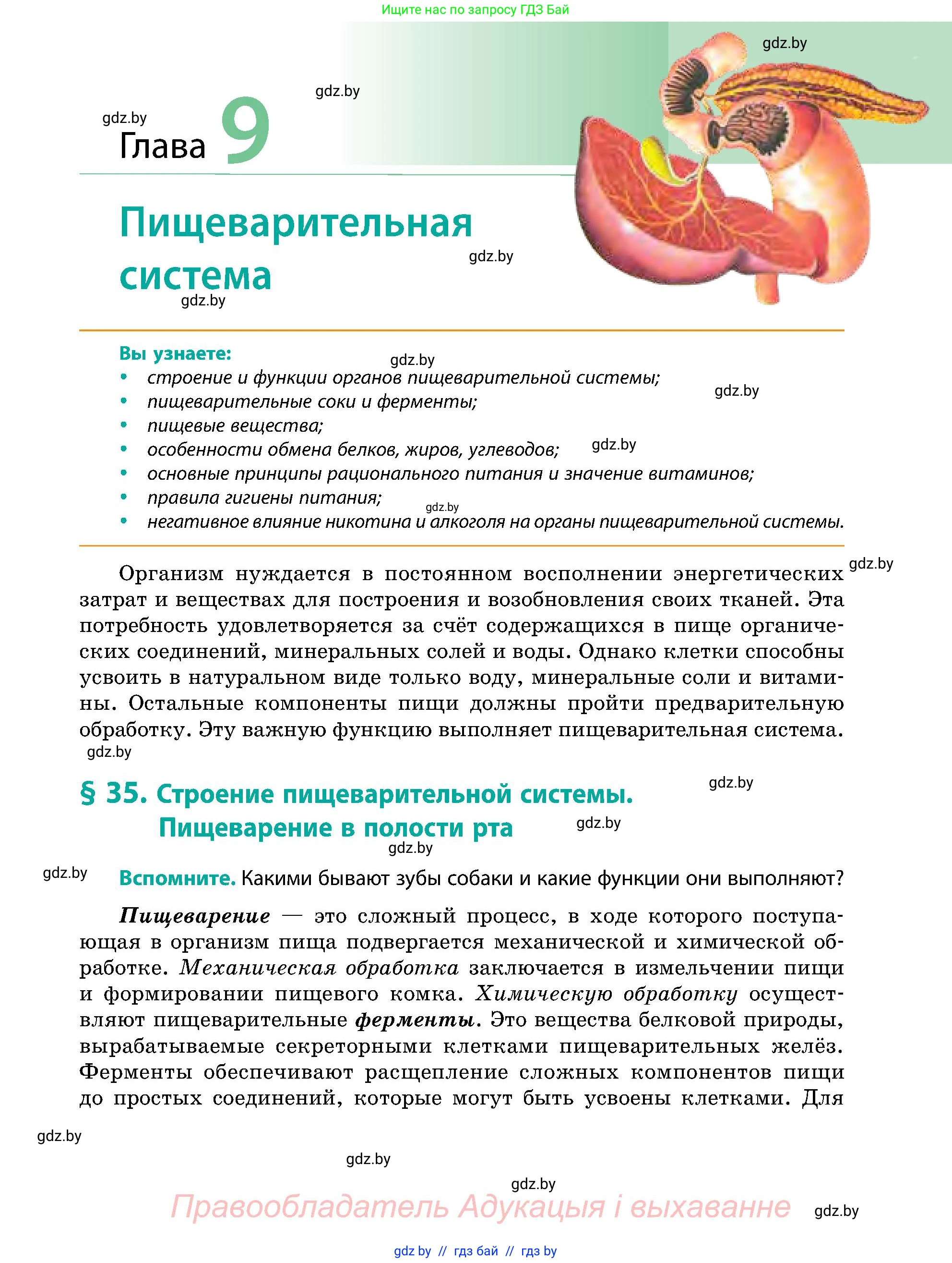 Биология, 9 класс Учебник, авторы: Борисов Олег Леонидович, Антипенко Алеся Анатольевна, Рогожников Олег Николаевич, издательство Адукацыя i выхаванне, Минск, 2025, бирюзового цвета, страница 151