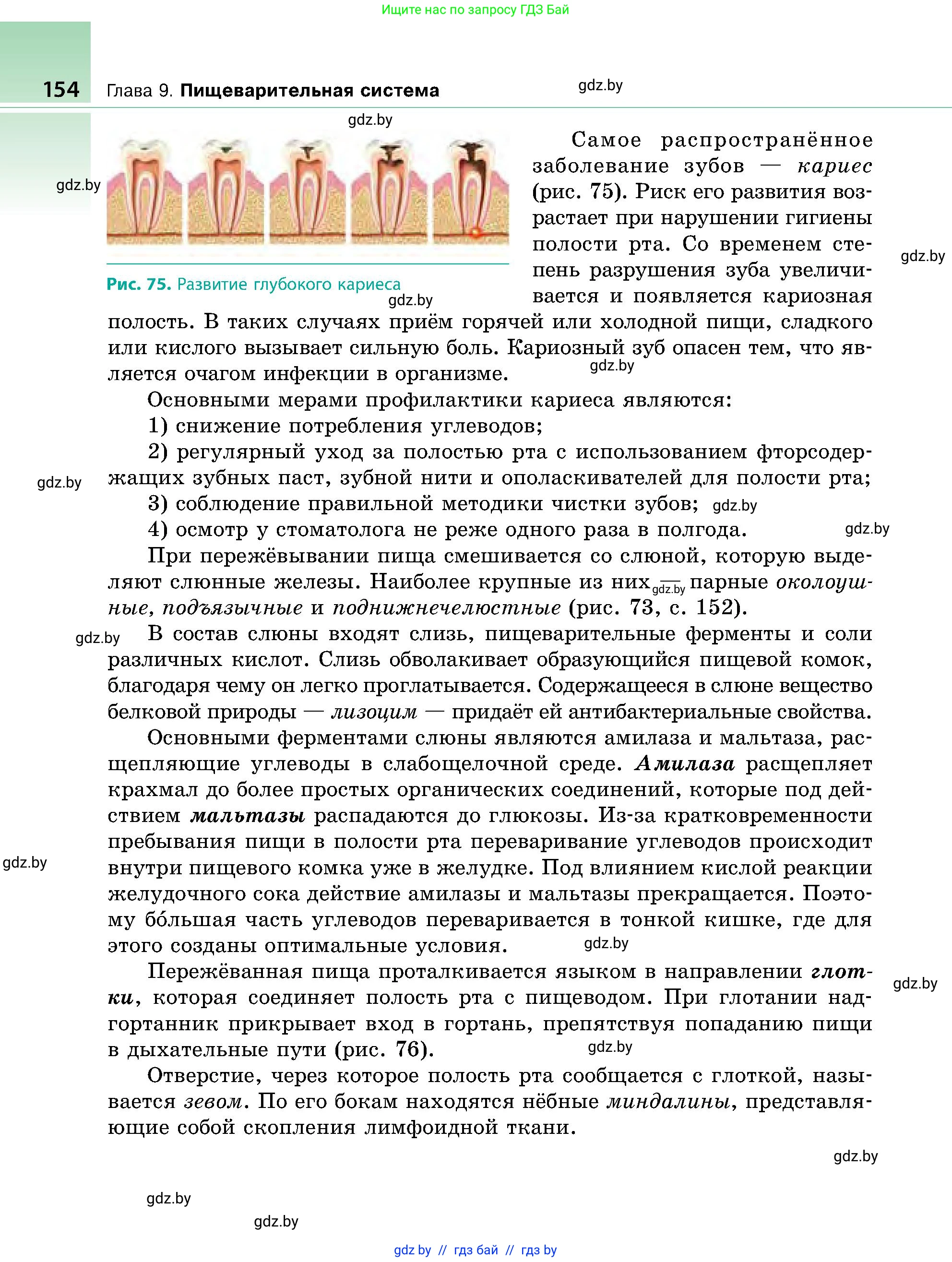 Биология, 9 класс Учебник, авторы: Борисов Олег Леонидович, Антипенко Алеся Анатольевна, Рогожников Олег Николаевич, издательство Адукацыя i выхаванне, Минск, 2025, бирюзового цвета, страница 154