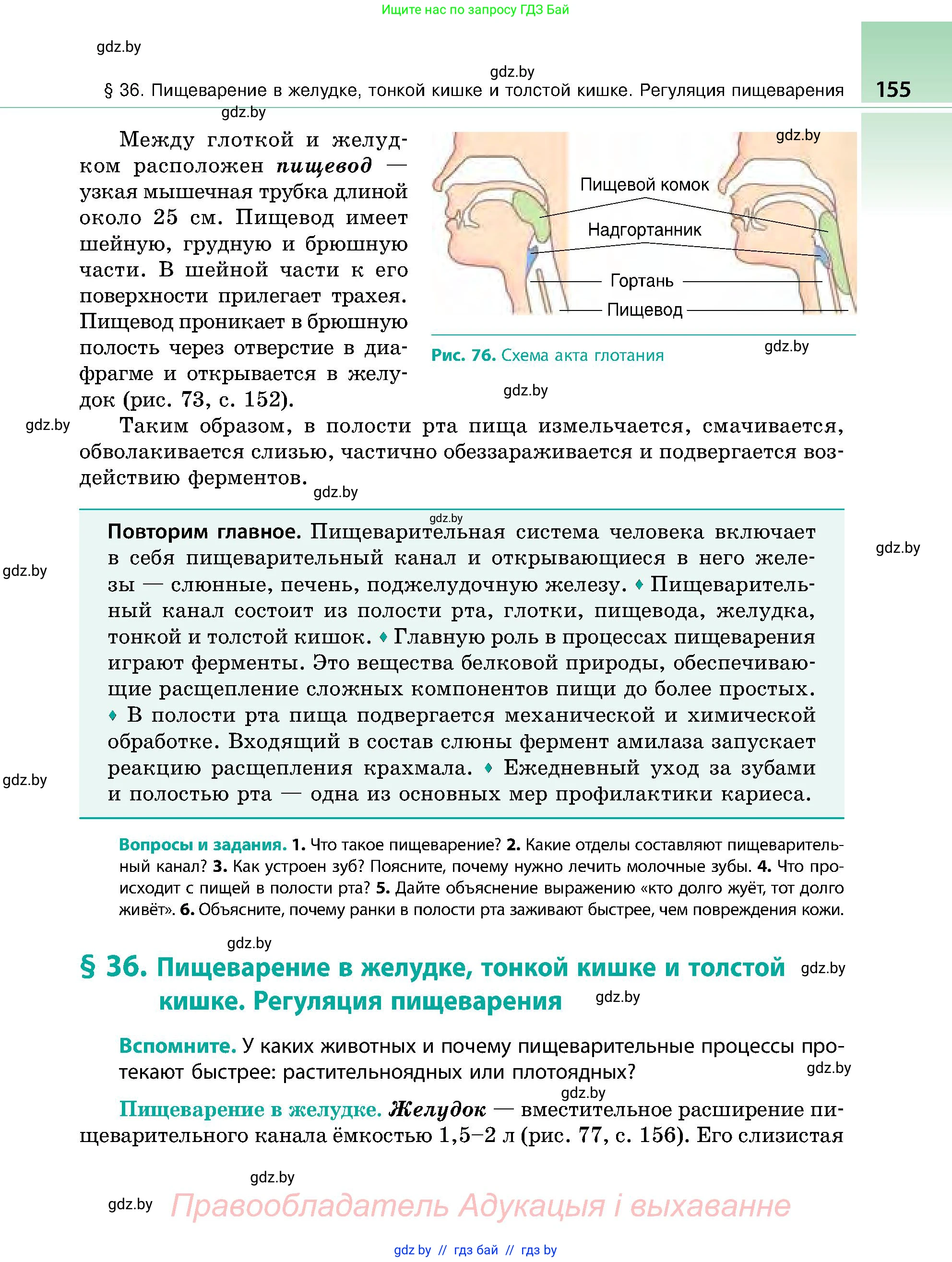 Биология, 9 класс Учебник, авторы: Борисов Олег Леонидович, Антипенко Алеся Анатольевна, Рогожников Олег Николаевич, издательство Адукацыя i выхаванне, Минск, 2025, бирюзового цвета, страница 155