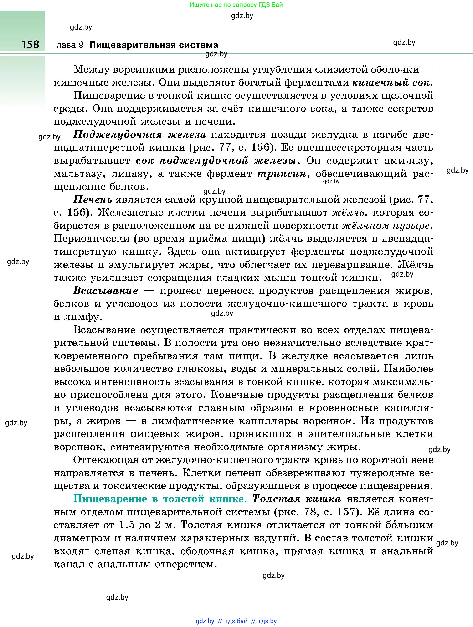 Биология, 9 класс Учебник, авторы: Борисов Олег Леонидович, Антипенко Алеся Анатольевна, Рогожников Олег Николаевич, издательство Адукацыя i выхаванне, Минск, 2025, бирюзового цвета, страница 158