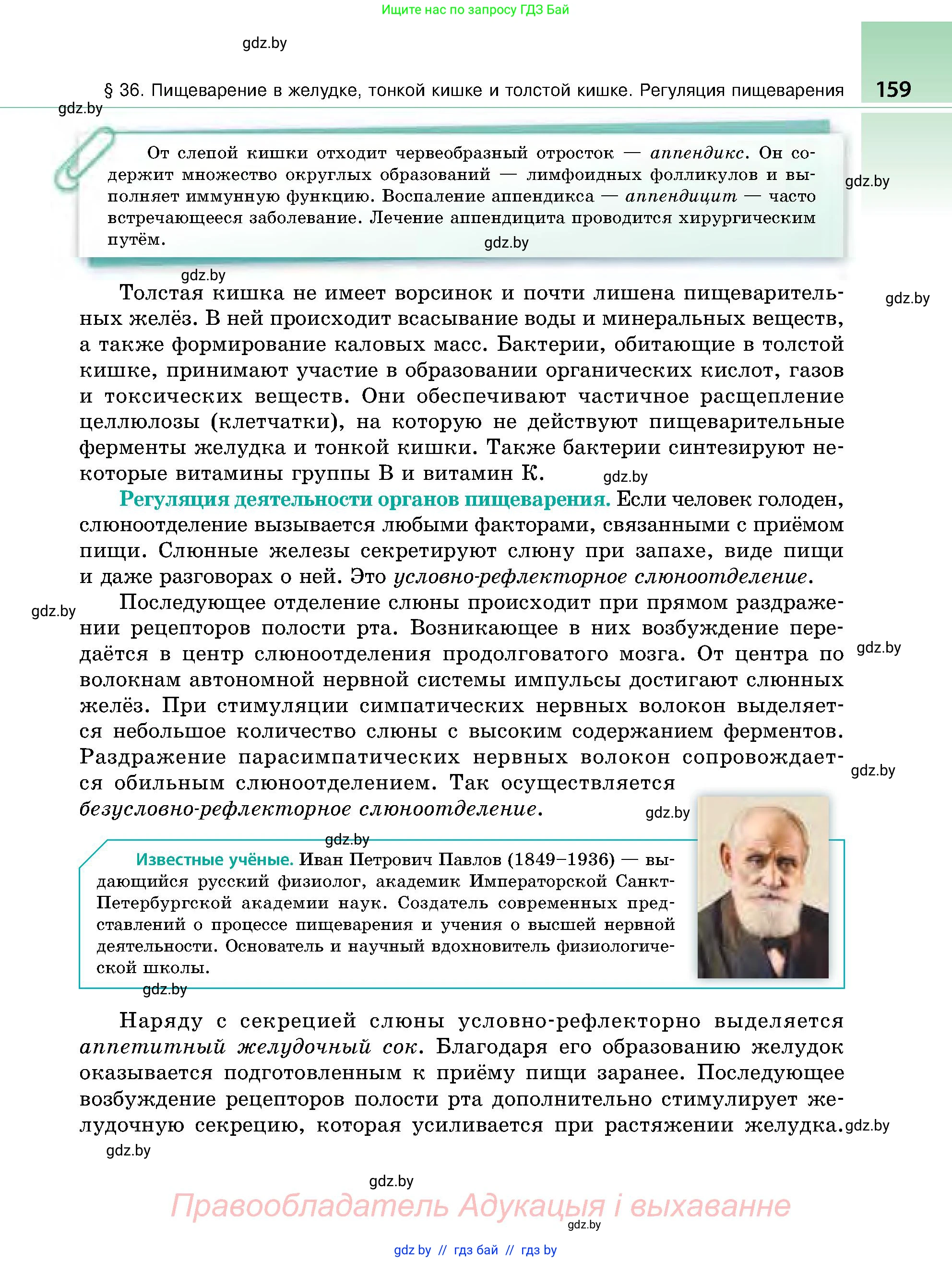Биология, 9 класс Учебник, авторы: Борисов Олег Леонидович, Антипенко Алеся Анатольевна, Рогожников Олег Николаевич, издательство Адукацыя i выхаванне, Минск, 2025, бирюзового цвета, страница 159