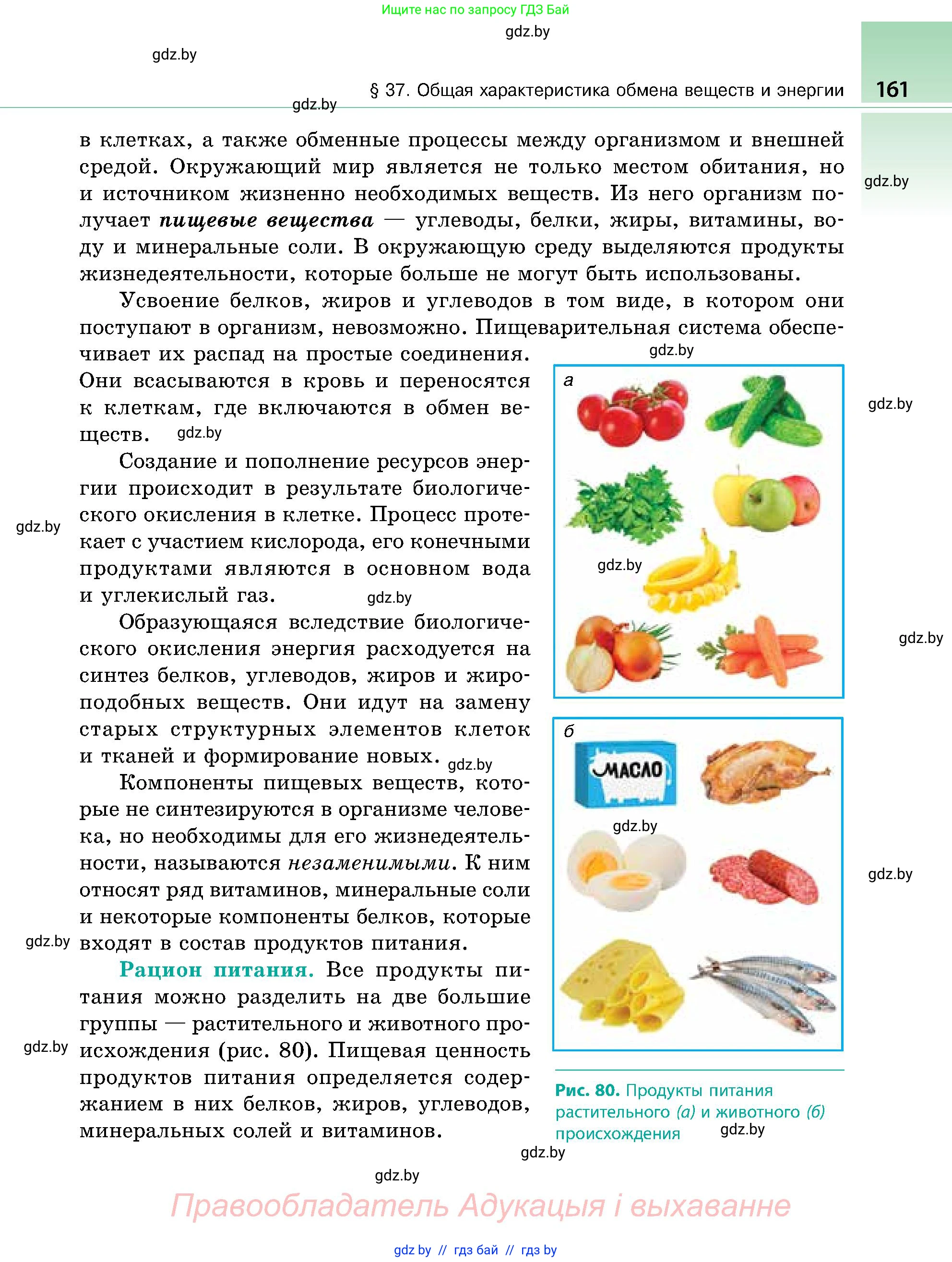 Биология, 9 класс Учебник, авторы: Борисов Олег Леонидович, Антипенко Алеся Анатольевна, Рогожников Олег Николаевич, издательство Адукацыя i выхаванне, Минск, 2025, бирюзового цвета, страница 161