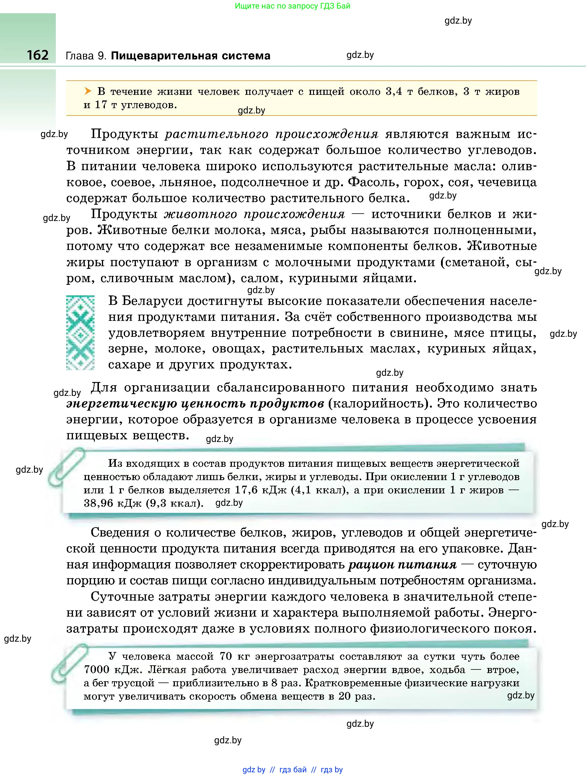 Биология, 9 класс Учебник, авторы: Борисов Олег Леонидович, Антипенко Алеся Анатольевна, Рогожников Олег Николаевич, издательство Адукацыя i выхаванне, Минск, 2025, бирюзового цвета, страница 162