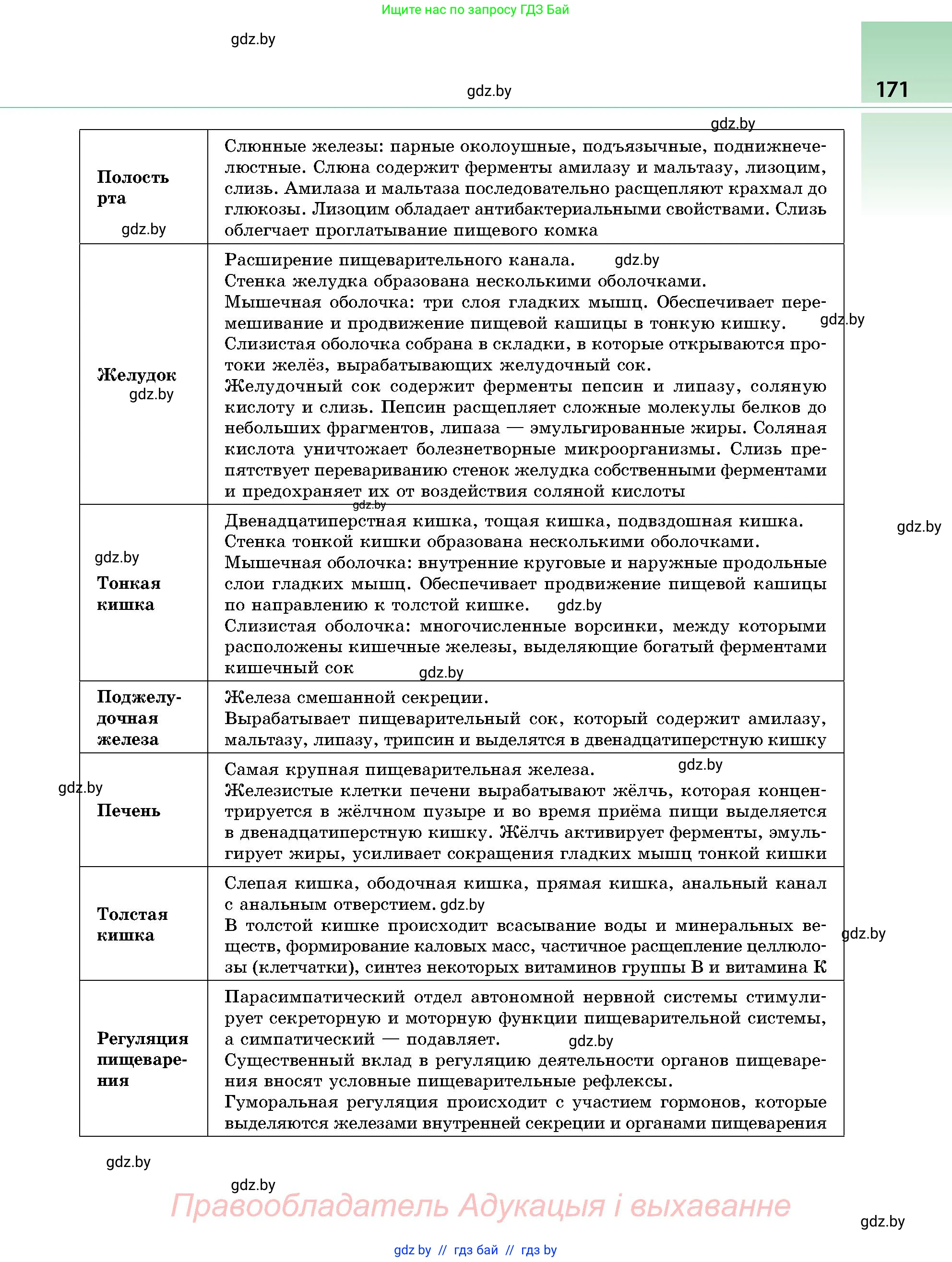 Биология, 9 класс Учебник, авторы: Борисов Олег Леонидович, Антипенко Алеся Анатольевна, Рогожников Олег Николаевич, издательство Адукацыя i выхаванне, Минск, 2025, бирюзового цвета, страница 171