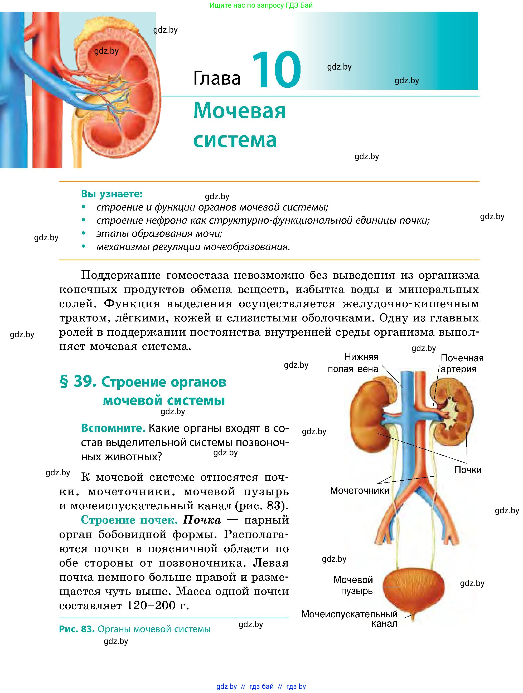 Биология, 9 класс Учебник, авторы: Борисов Олег Леонидович, Антипенко Алеся Анатольевна, Рогожников Олег Николаевич, издательство Адукацыя i выхаванне, Минск, 2025, бирюзового цвета, страница 172