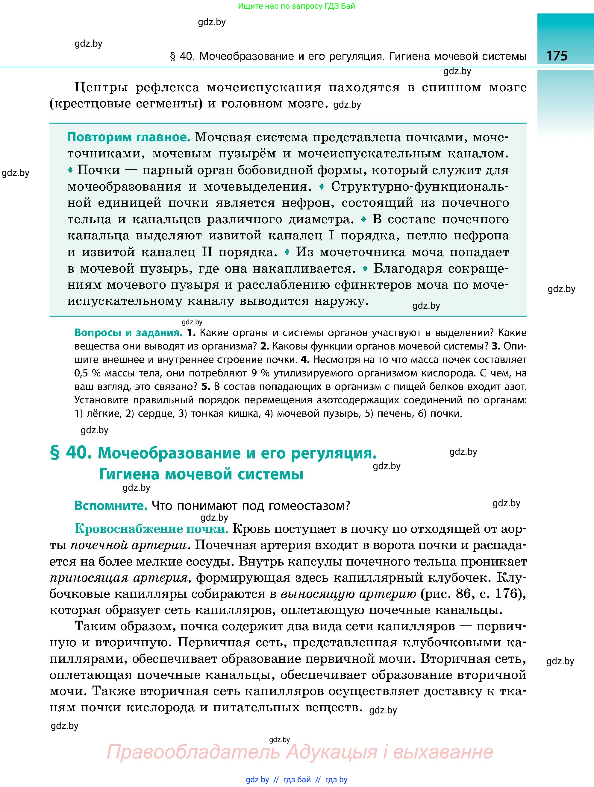 Биология, 9 класс Учебник, авторы: Борисов Олег Леонидович, Антипенко Алеся Анатольевна, Рогожников Олег Николаевич, издательство Адукацыя i выхаванне, Минск, 2025, бирюзового цвета, страница 175