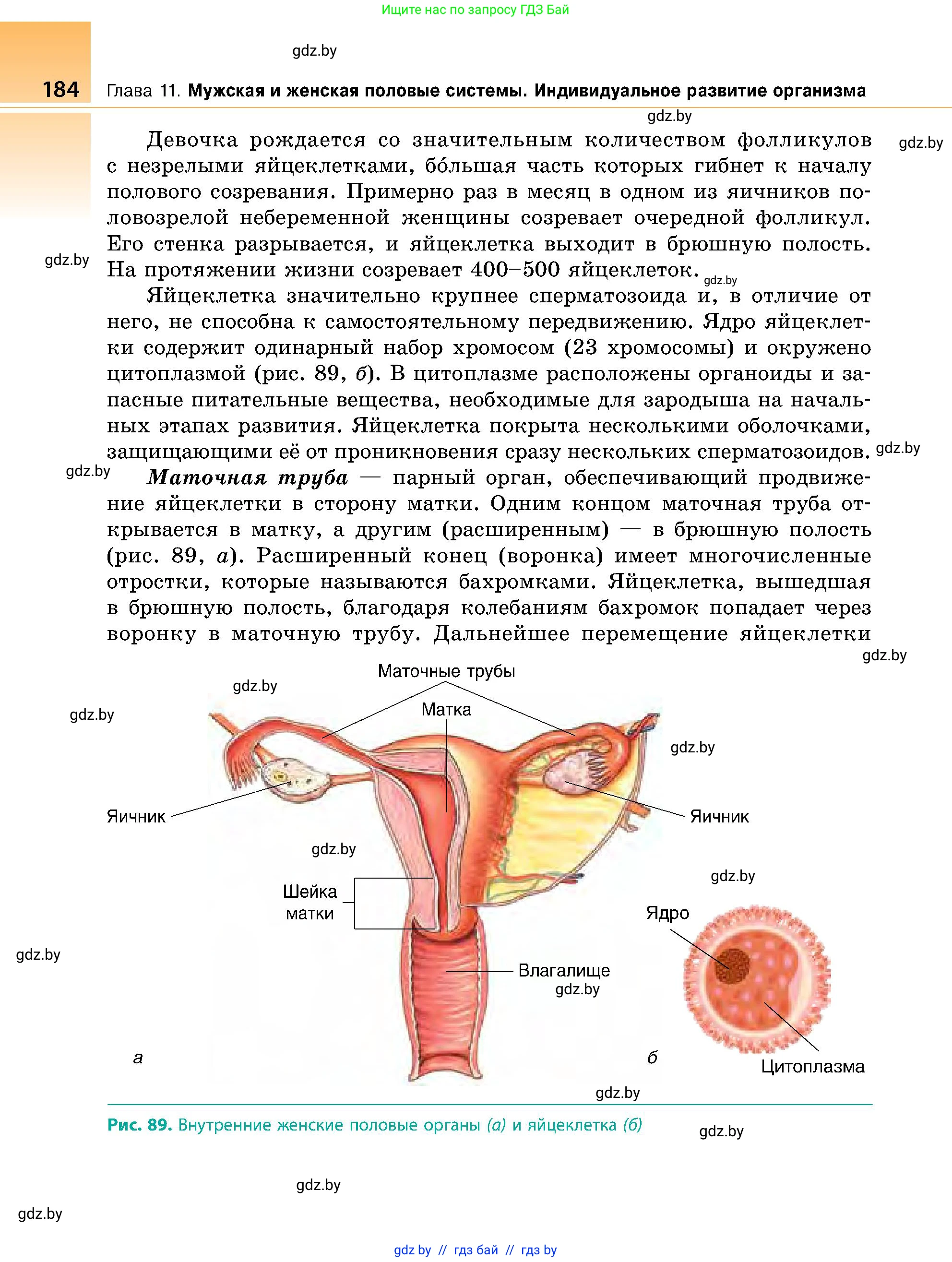 Биология, 9 класс Учебник, авторы: Борисов Олег Леонидович, Антипенко Алеся Анатольевна, Рогожников Олег Николаевич, издательство Адукацыя i выхаванне, Минск, 2025, бирюзового цвета, страница 184