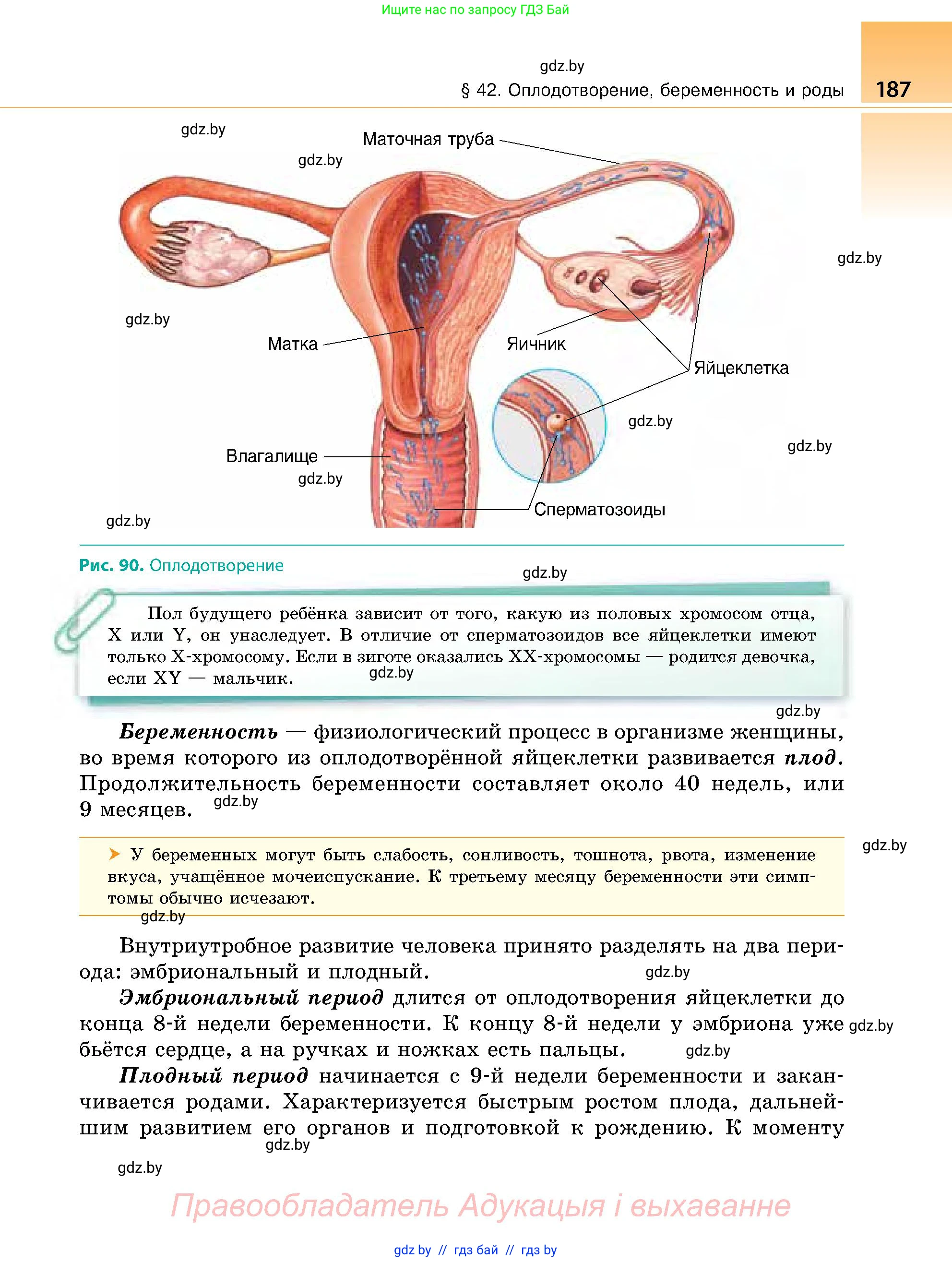 Биология, 9 класс Учебник, авторы: Борисов Олег Леонидович, Антипенко Алеся Анатольевна, Рогожников Олег Николаевич, издательство Адукацыя i выхаванне, Минск, 2025, бирюзового цвета, страница 187