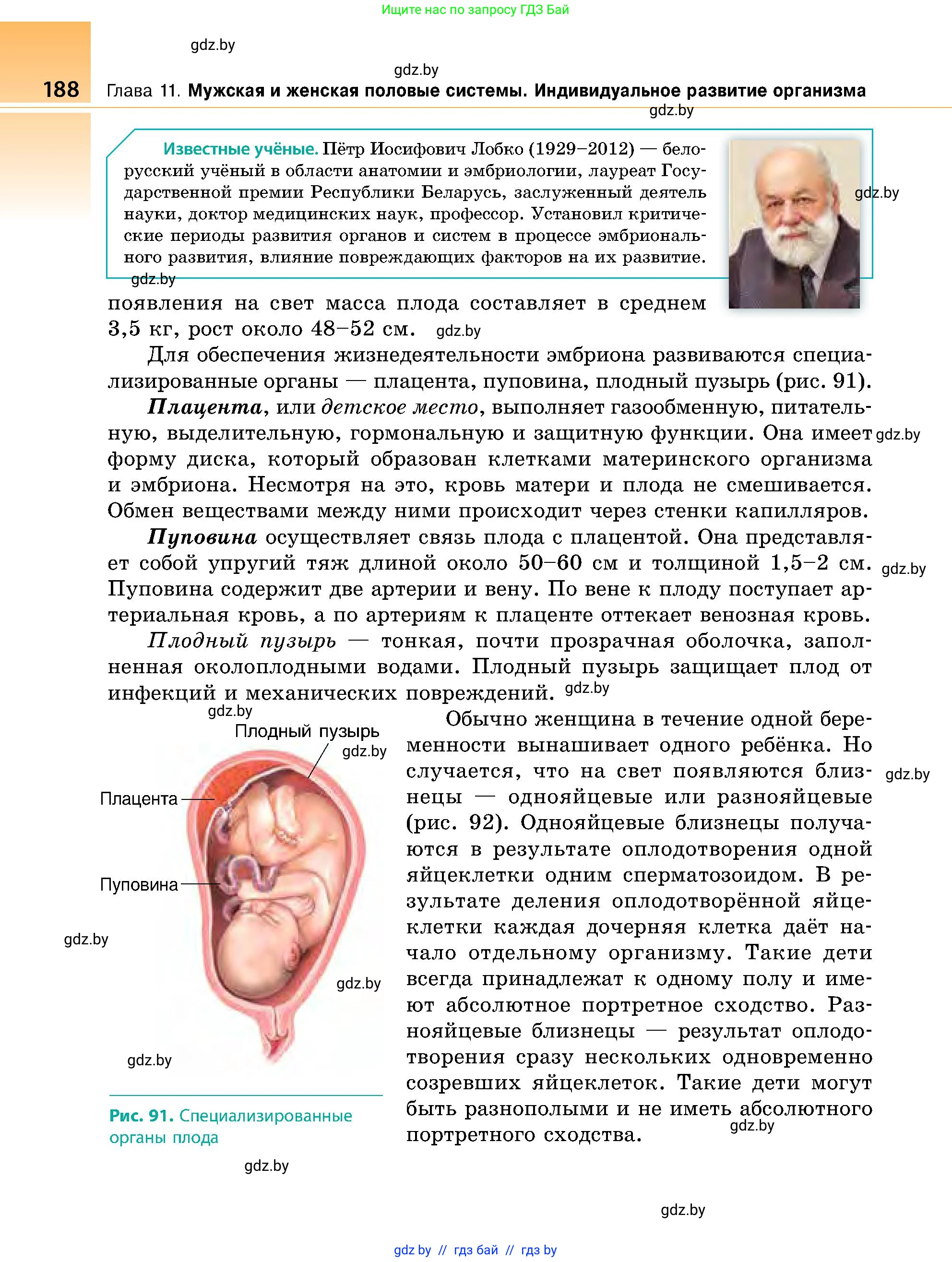 Биология, 9 класс Учебник, авторы: Борисов Олег Леонидович, Антипенко Алеся Анатольевна, Рогожников Олег Николаевич, издательство Адукацыя i выхаванне, Минск, 2025, бирюзового цвета, страница 188