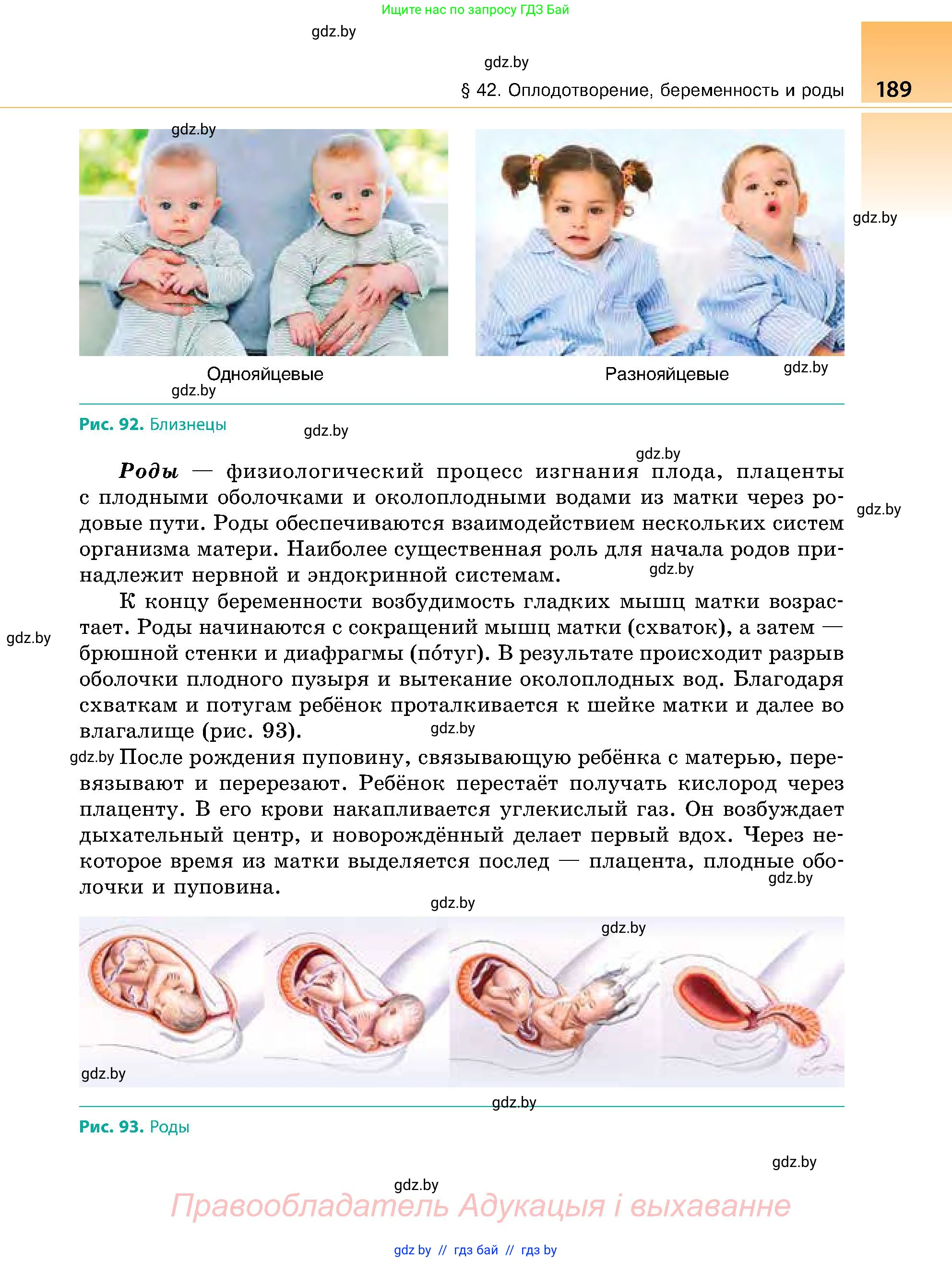 Биология, 9 класс Учебник, авторы: Борисов Олег Леонидович, Антипенко Алеся Анатольевна, Рогожников Олег Николаевич, издательство Адукацыя i выхаванне, Минск, 2025, бирюзового цвета, страница 189