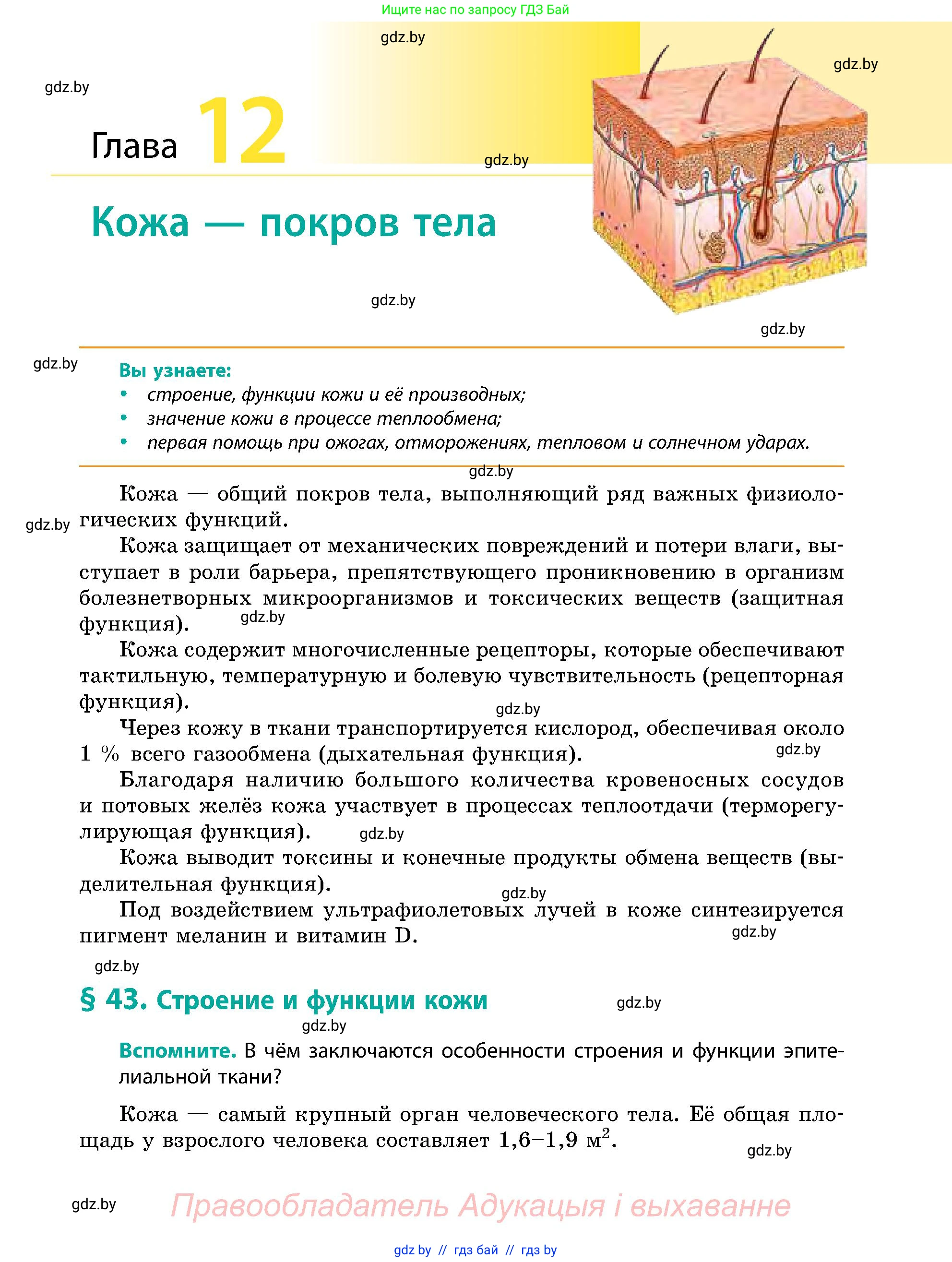 Биология, 9 класс Учебник, авторы: Борисов Олег Леонидович, Антипенко Алеся Анатольевна, Рогожников Олег Николаевич, издательство Адукацыя i выхаванне, Минск, 2025, бирюзового цвета, страница 193