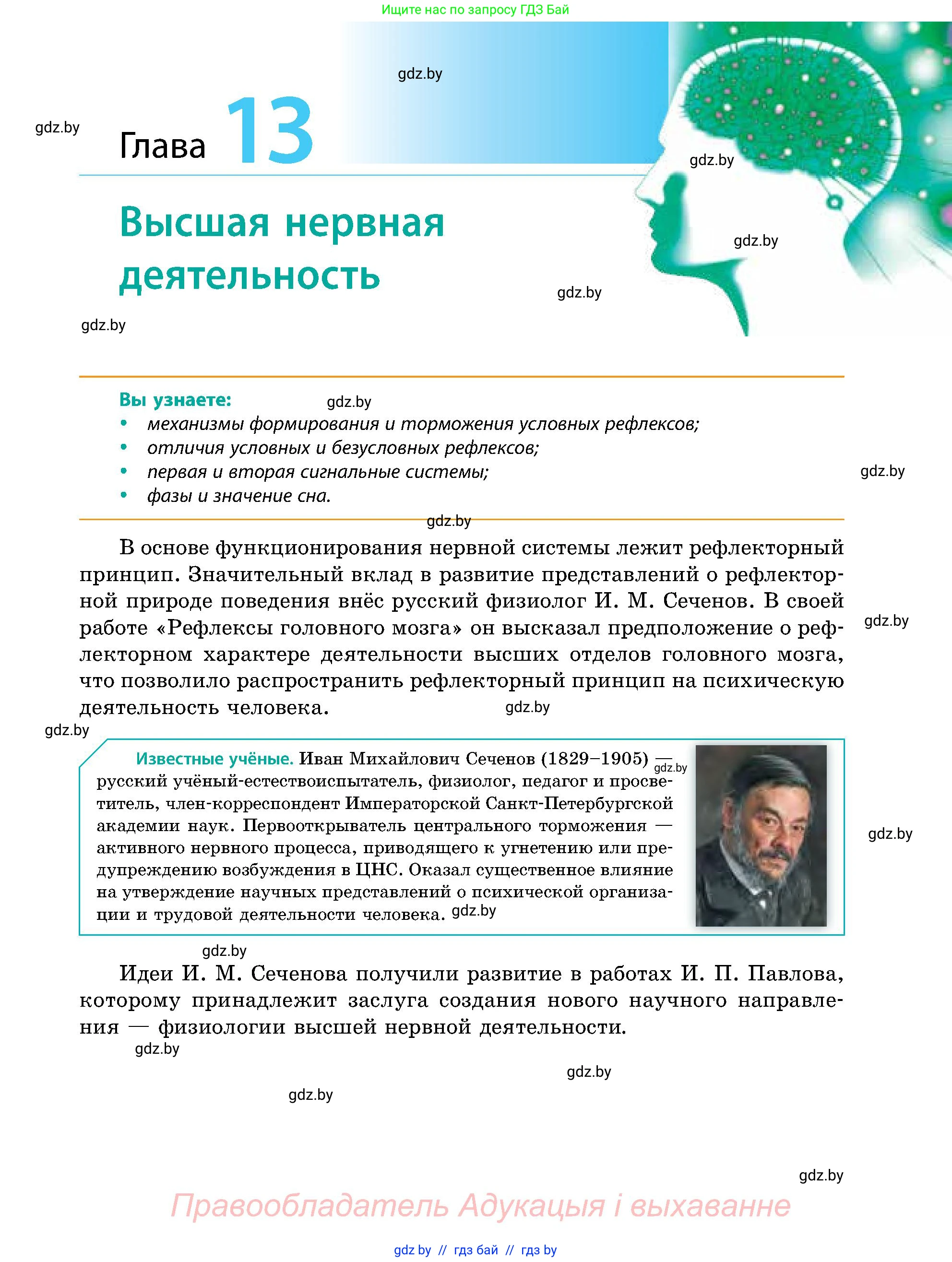 Биология, 9 класс Учебник, авторы: Борисов Олег Леонидович, Антипенко Алеся Анатольевна, Рогожников Олег Николаевич, издательство Адукацыя i выхаванне, Минск, 2025, бирюзового цвета, страница 205