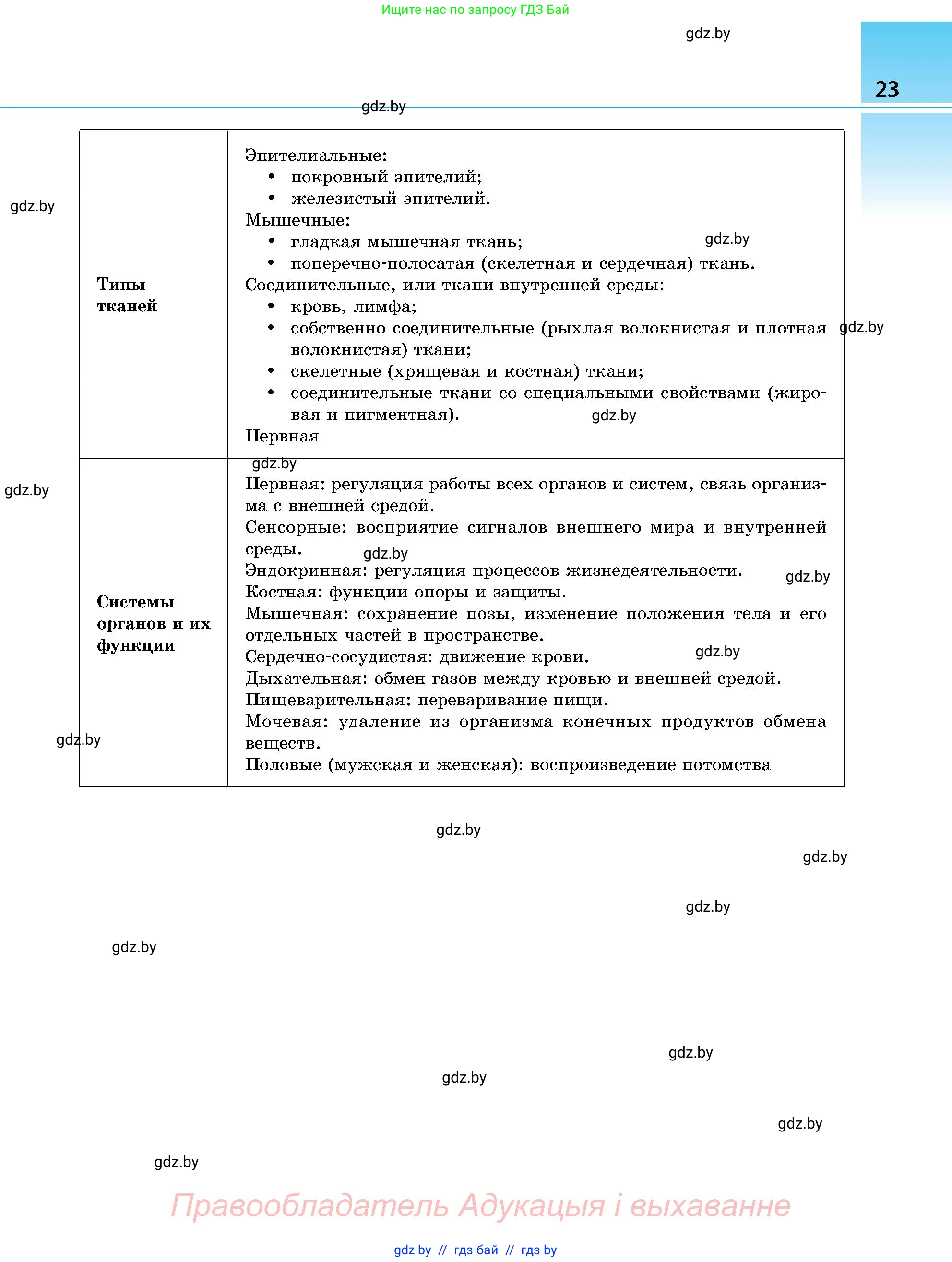 Биология, 9 класс Учебник, авторы: Борисов Олег Леонидович, Антипенко Алеся Анатольевна, Рогожников Олег Николаевич, издательство Адукацыя i выхаванне, Минск, 2025, бирюзового цвета, страница 23