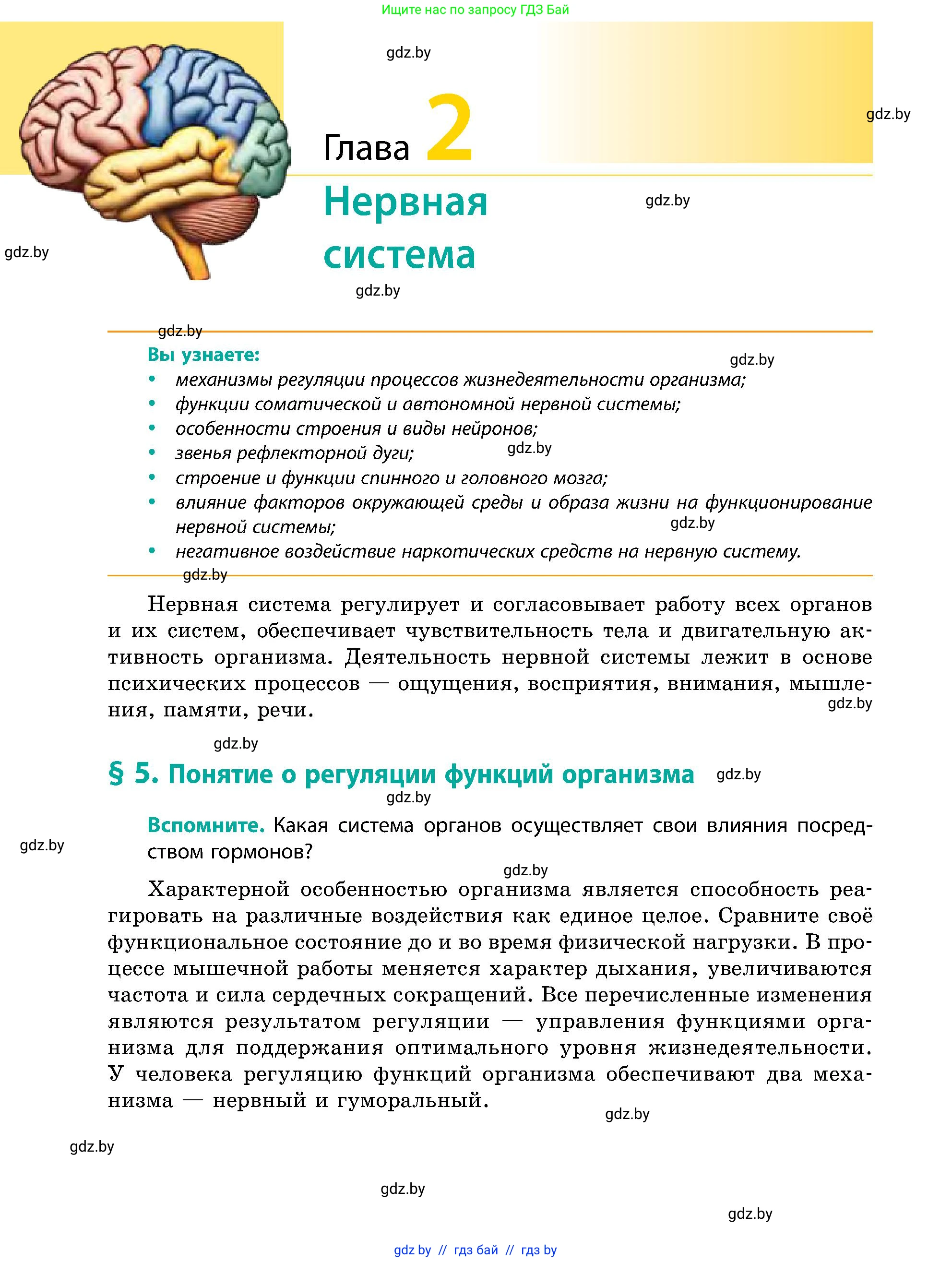 Биология, 9 класс Учебник, авторы: Борисов Олег Леонидович, Антипенко Алеся Анатольевна, Рогожников Олег Николаевич, издательство Адукацыя i выхаванне, Минск, 2025, бирюзового цвета, страница 24