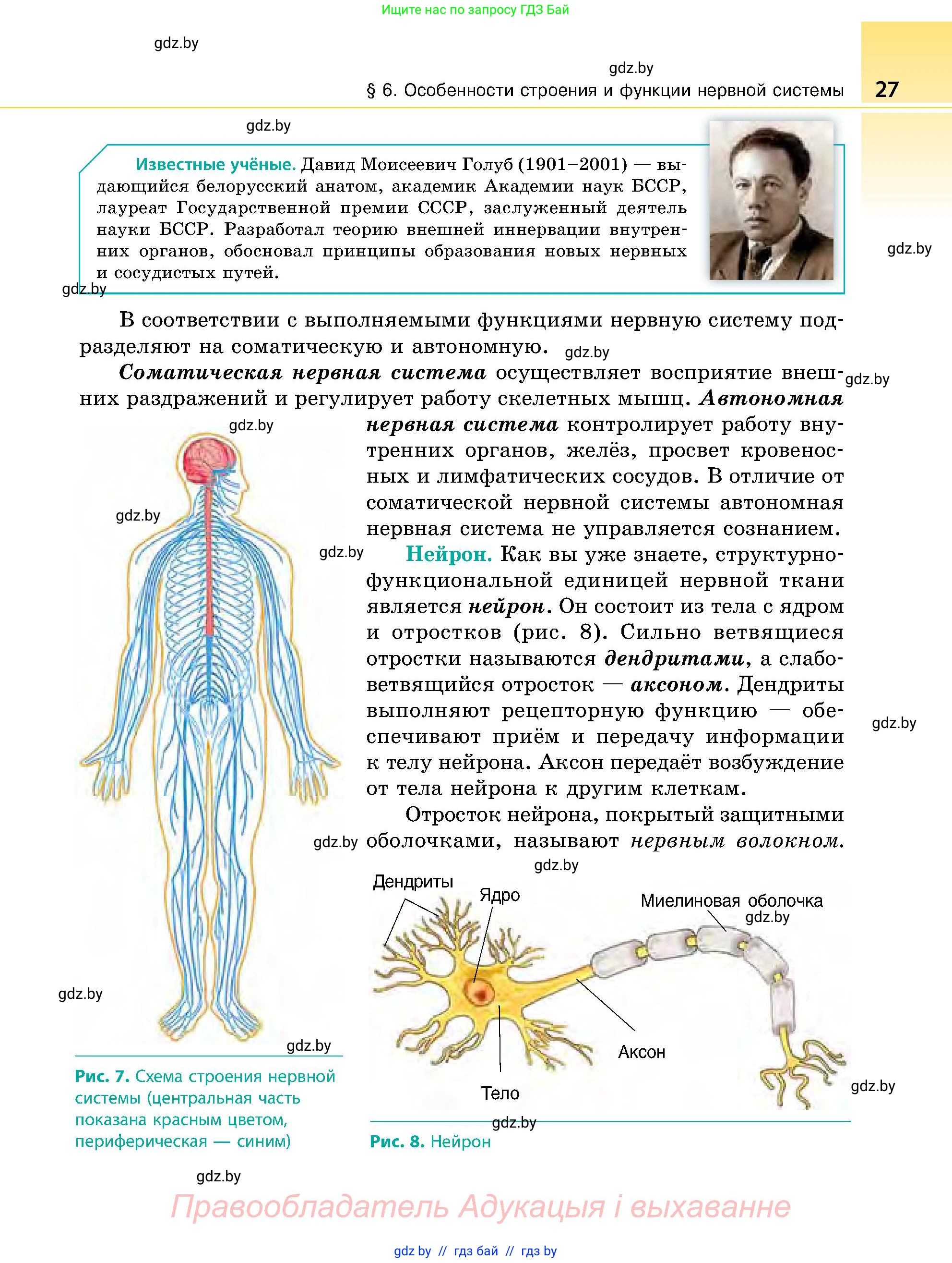 Биология, 9 класс Учебник, авторы: Борисов Олег Леонидович, Антипенко Алеся Анатольевна, Рогожников Олег Николаевич, издательство Адукацыя i выхаванне, Минск, 2025, бирюзового цвета, страница 27