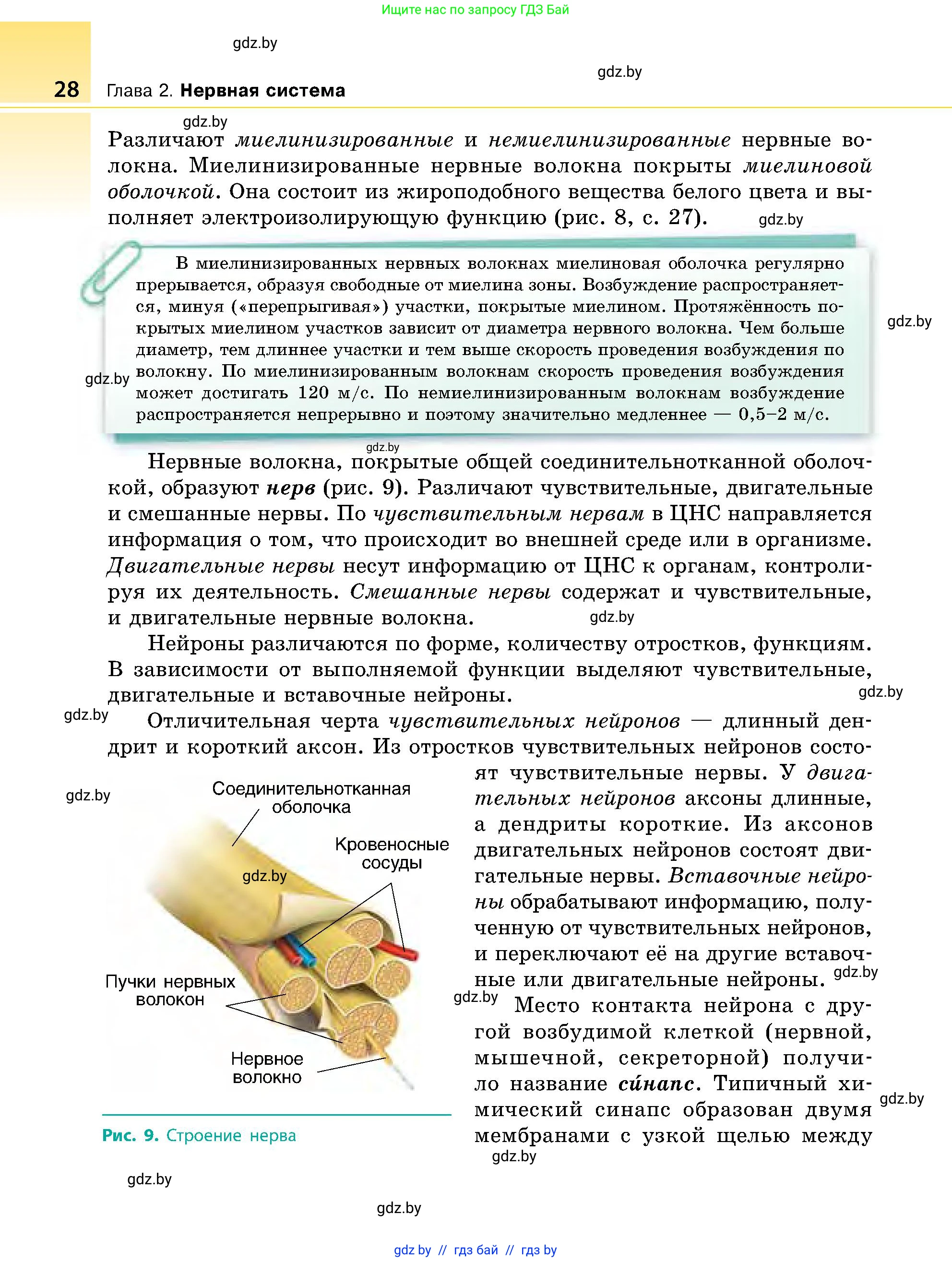Биология, 9 класс Учебник, авторы: Борисов Олег Леонидович, Антипенко Алеся Анатольевна, Рогожников Олег Николаевич, издательство Адукацыя i выхаванне, Минск, 2025, бирюзового цвета, страница 28