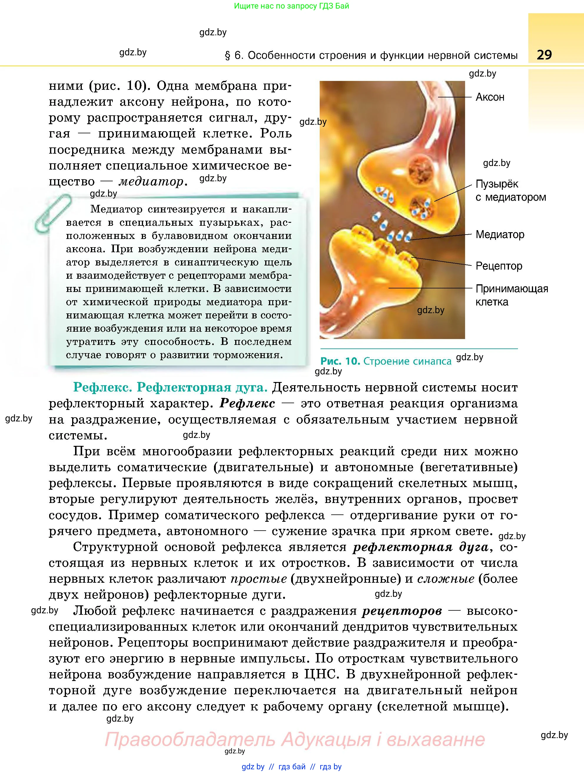 Биология, 9 класс Учебник, авторы: Борисов Олег Леонидович, Антипенко Алеся Анатольевна, Рогожников Олег Николаевич, издательство Адукацыя i выхаванне, Минск, 2025, бирюзового цвета, страница 29