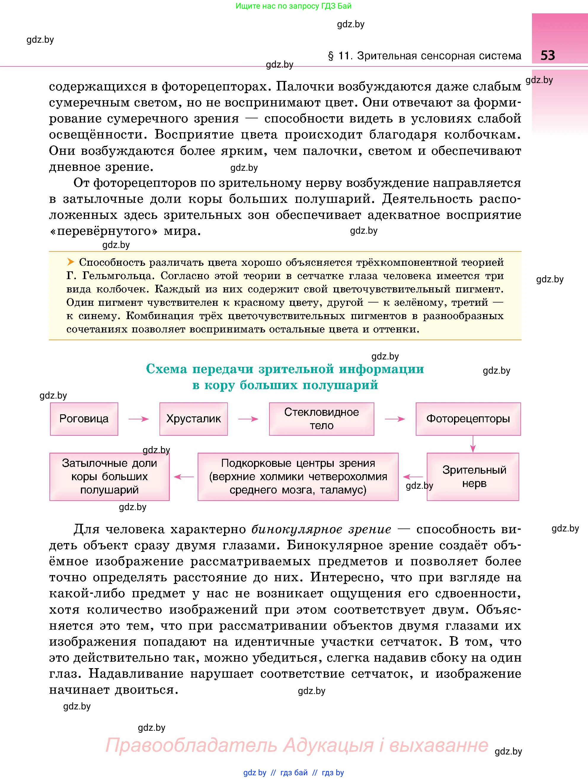 Биология, 9 класс Учебник, авторы: Борисов Олег Леонидович, Антипенко Алеся Анатольевна, Рогожников Олег Николаевич, издательство Адукацыя i выхаванне, Минск, 2025, бирюзового цвета, страница 53
