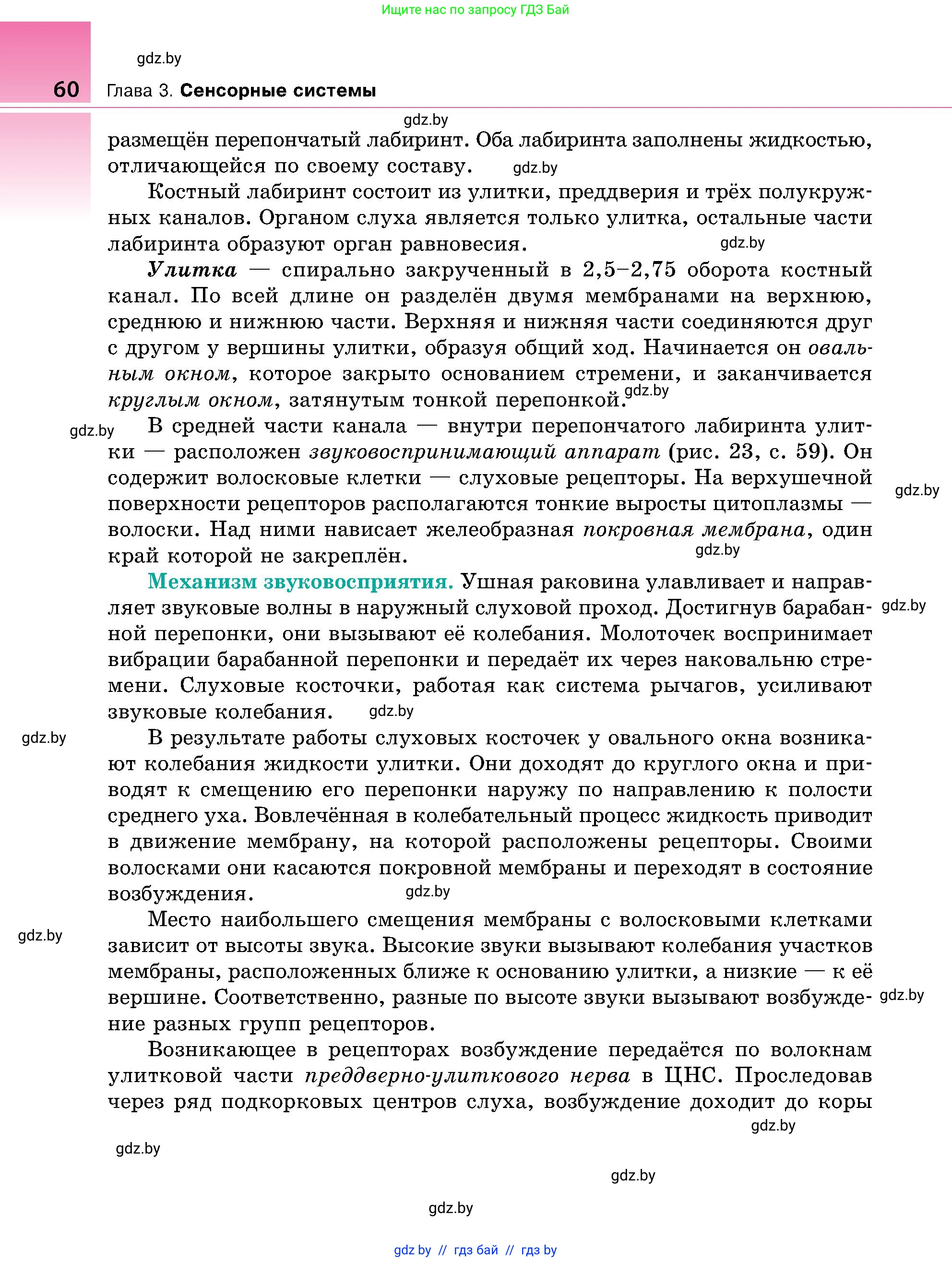 Биология, 9 класс Учебник, авторы: Борисов Олег Леонидович, Антипенко Алеся Анатольевна, Рогожников Олег Николаевич, издательство Адукацыя i выхаванне, Минск, 2025, бирюзового цвета, страница 60