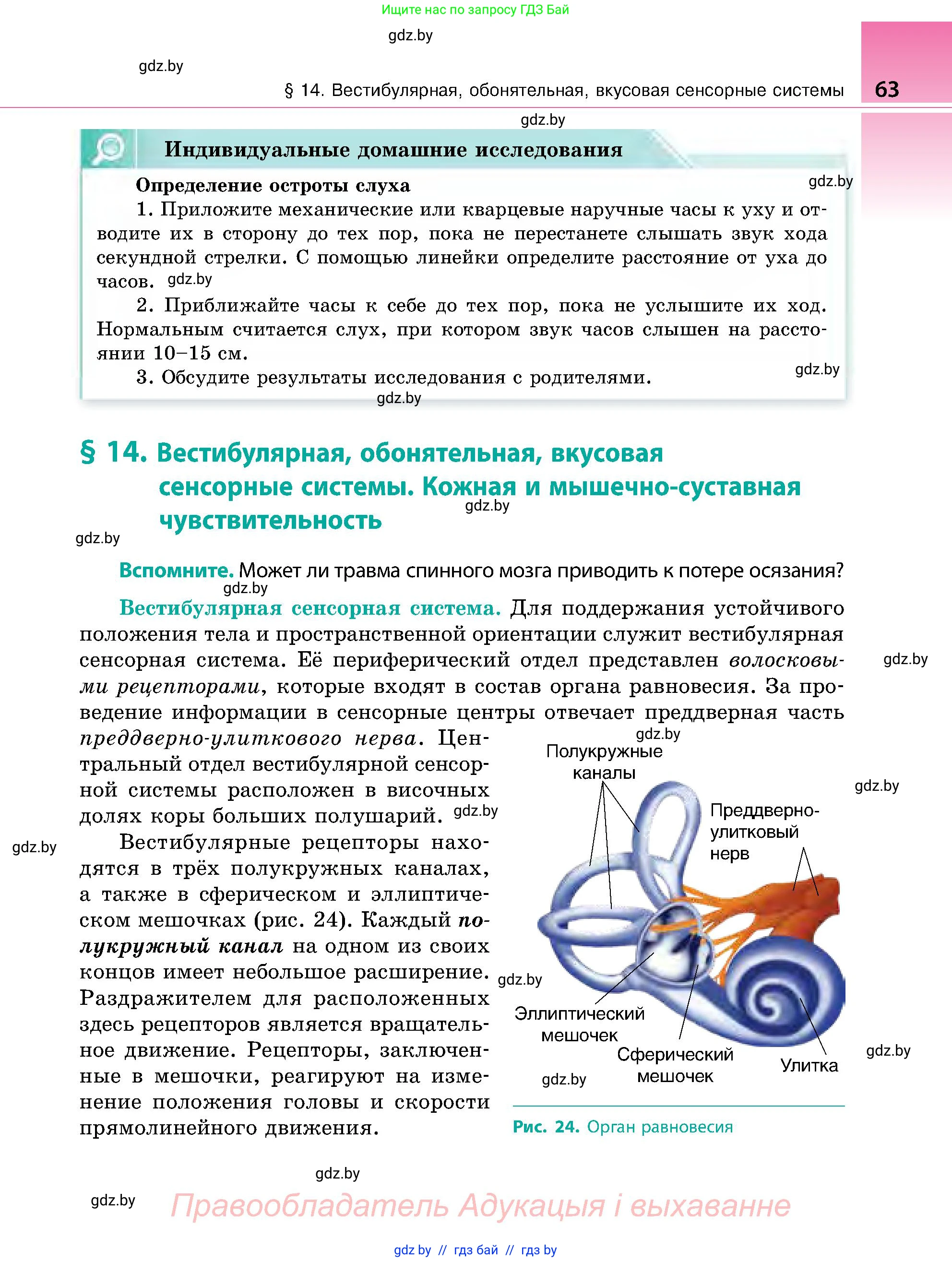 Биология, 9 класс Учебник, авторы: Борисов Олег Леонидович, Антипенко Алеся Анатольевна, Рогожников Олег Николаевич, издательство Адукацыя i выхаванне, Минск, 2025, бирюзового цвета, страница 63