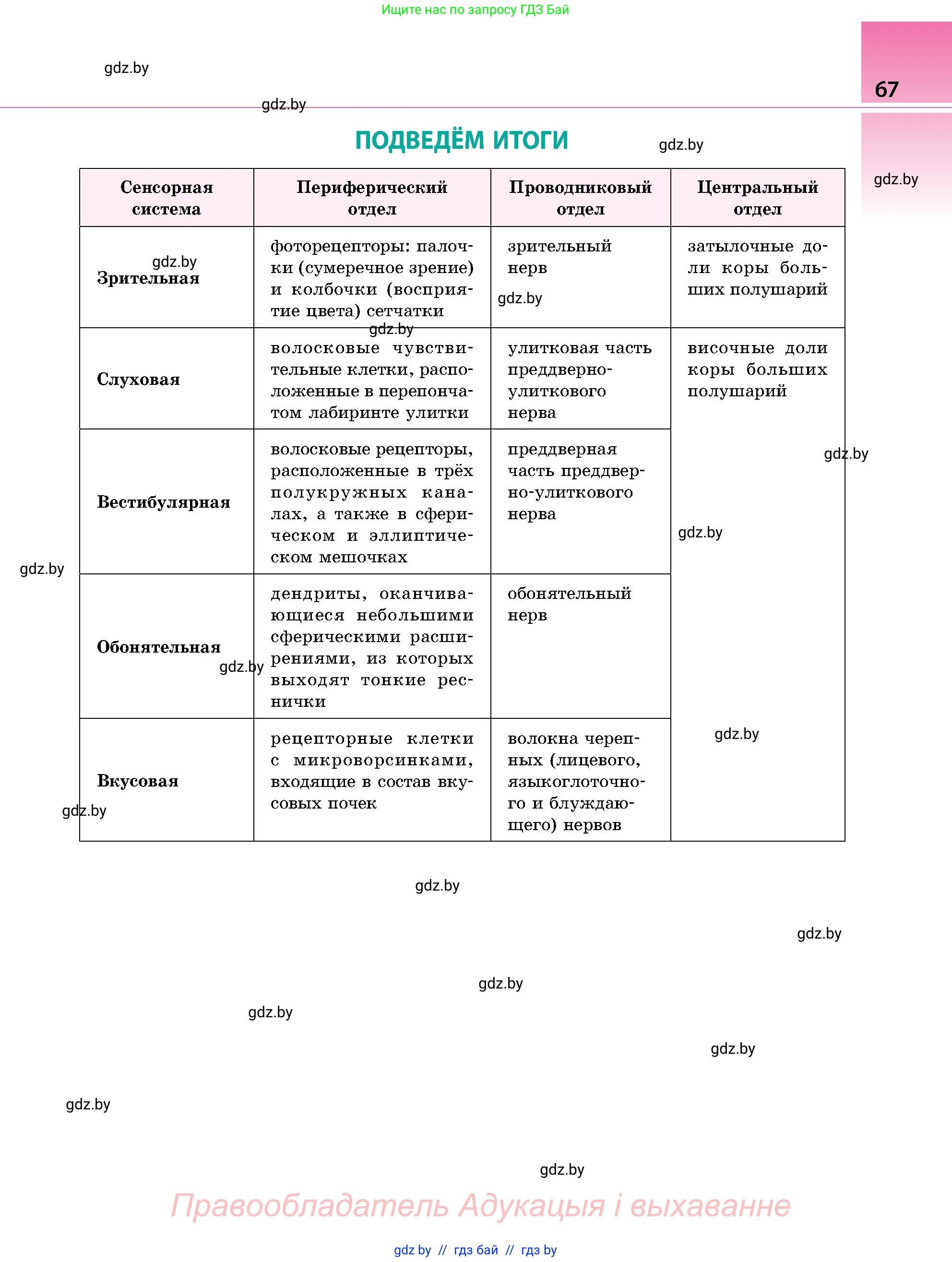 Биология, 9 класс Учебник, авторы: Борисов Олег Леонидович, Антипенко Алеся Анатольевна, Рогожников Олег Николаевич, издательство Адукацыя i выхаванне, Минск, 2025, бирюзового цвета, страница 67