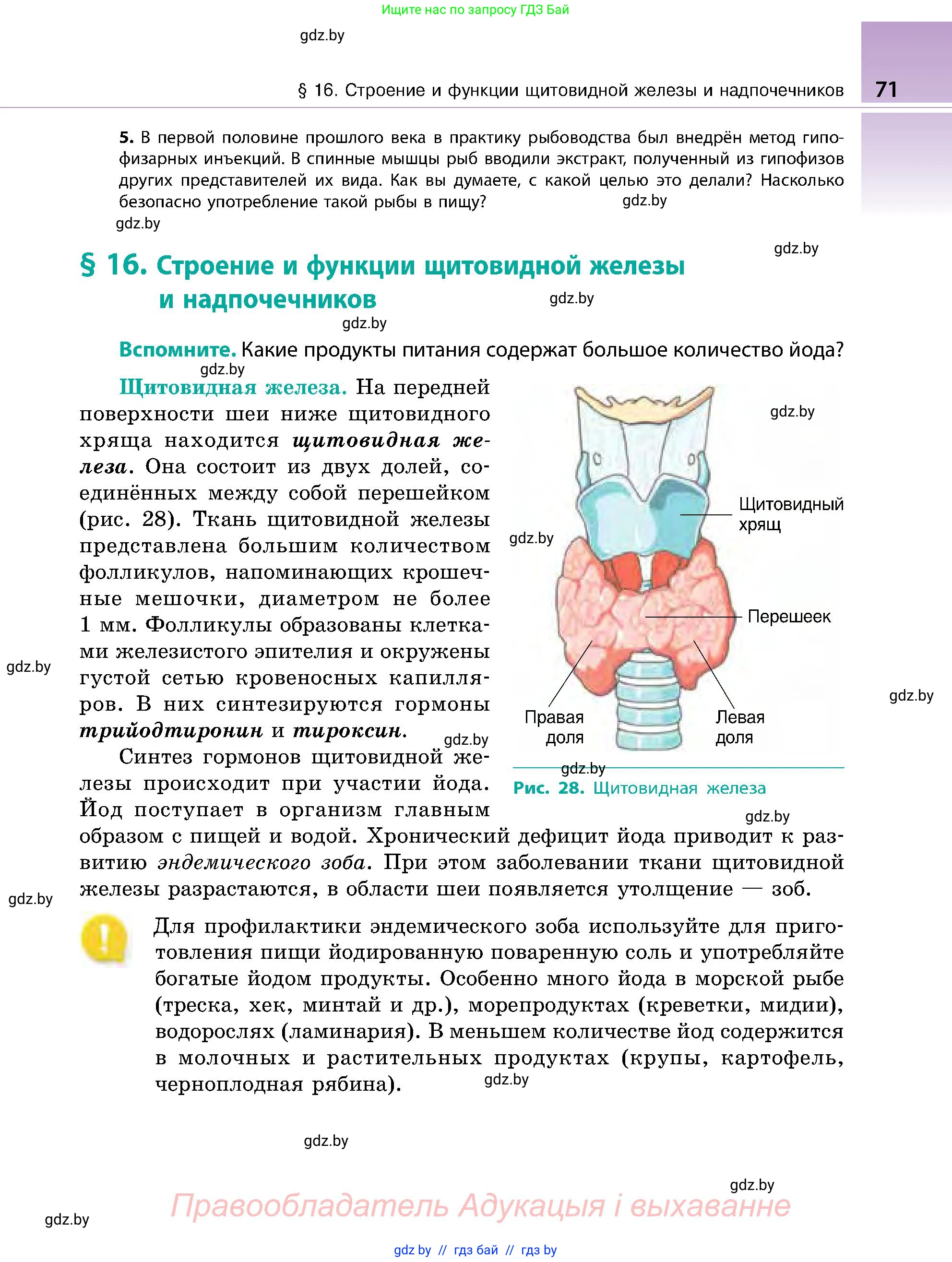 Биология, 9 класс Учебник, авторы: Борисов Олег Леонидович, Антипенко Алеся Анатольевна, Рогожников Олег Николаевич, издательство Адукацыя i выхаванне, Минск, 2025, бирюзового цвета, страница 71