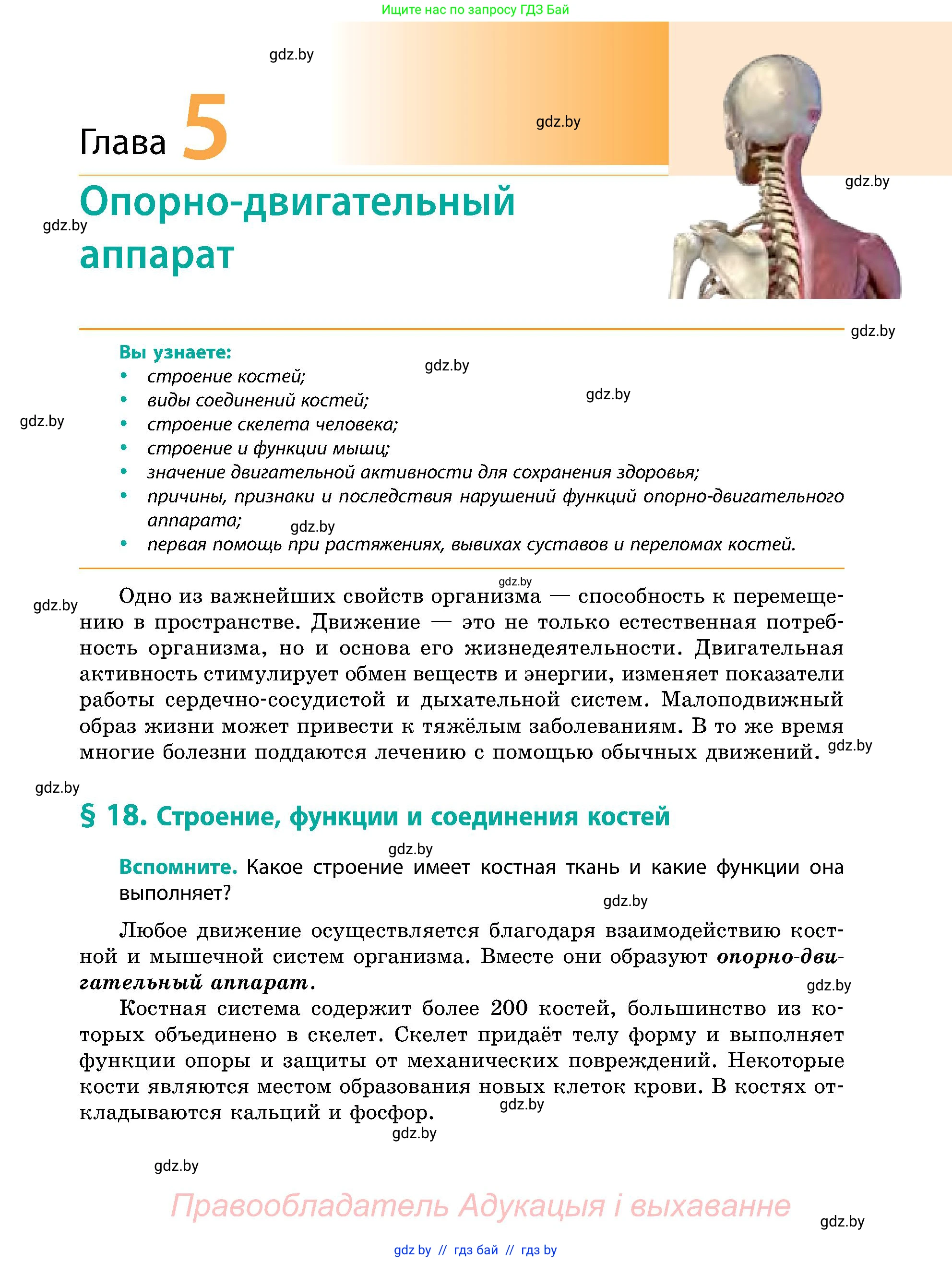 Биология, 9 класс Учебник, авторы: Борисов Олег Леонидович, Антипенко Алеся Анатольевна, Рогожников Олег Николаевич, издательство Адукацыя i выхаванне, Минск, 2025, бирюзового цвета, страница 79
