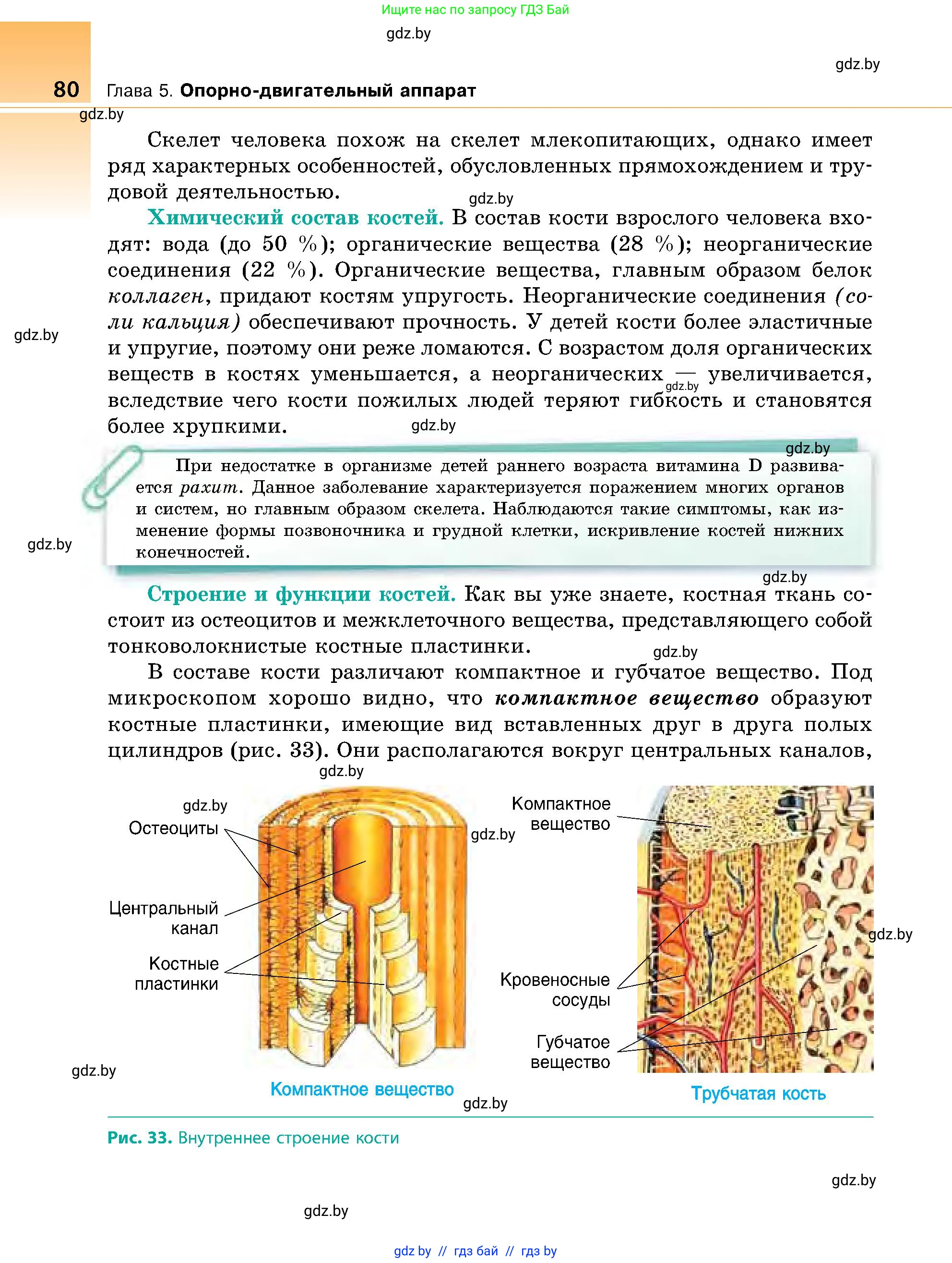 Биология, 9 класс Учебник, авторы: Борисов Олег Леонидович, Антипенко Алеся Анатольевна, Рогожников Олег Николаевич, издательство Адукацыя i выхаванне, Минск, 2025, бирюзового цвета, страница 80