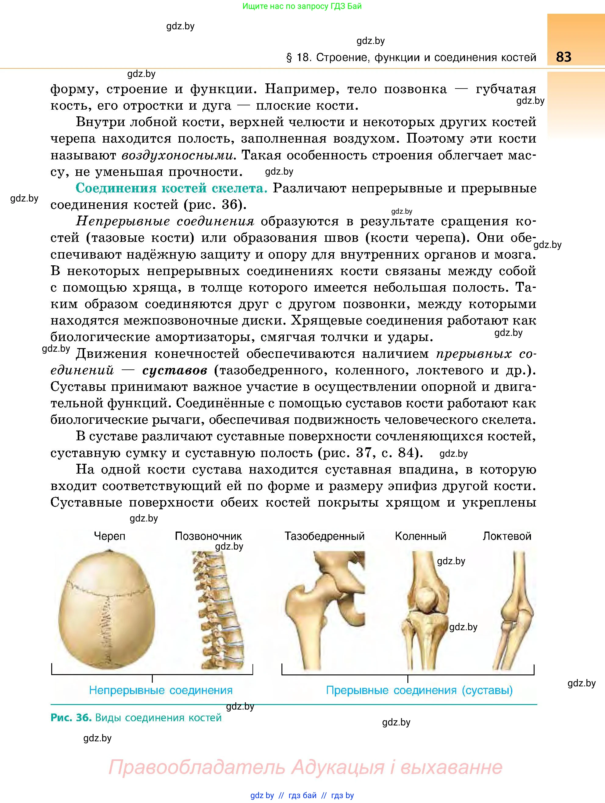 Биология, 9 класс Учебник, авторы: Борисов Олег Леонидович, Антипенко Алеся Анатольевна, Рогожников Олег Николаевич, издательство Адукацыя i выхаванне, Минск, 2025, бирюзового цвета, страница 83