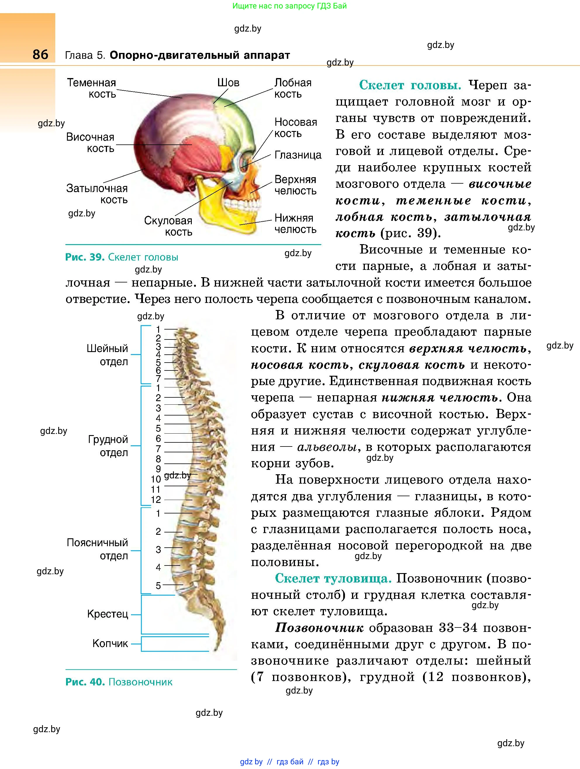 Биология, 9 класс Учебник, авторы: Борисов Олег Леонидович, Антипенко Алеся Анатольевна, Рогожников Олег Николаевич, издательство Адукацыя i выхаванне, Минск, 2025, бирюзового цвета, страница 86